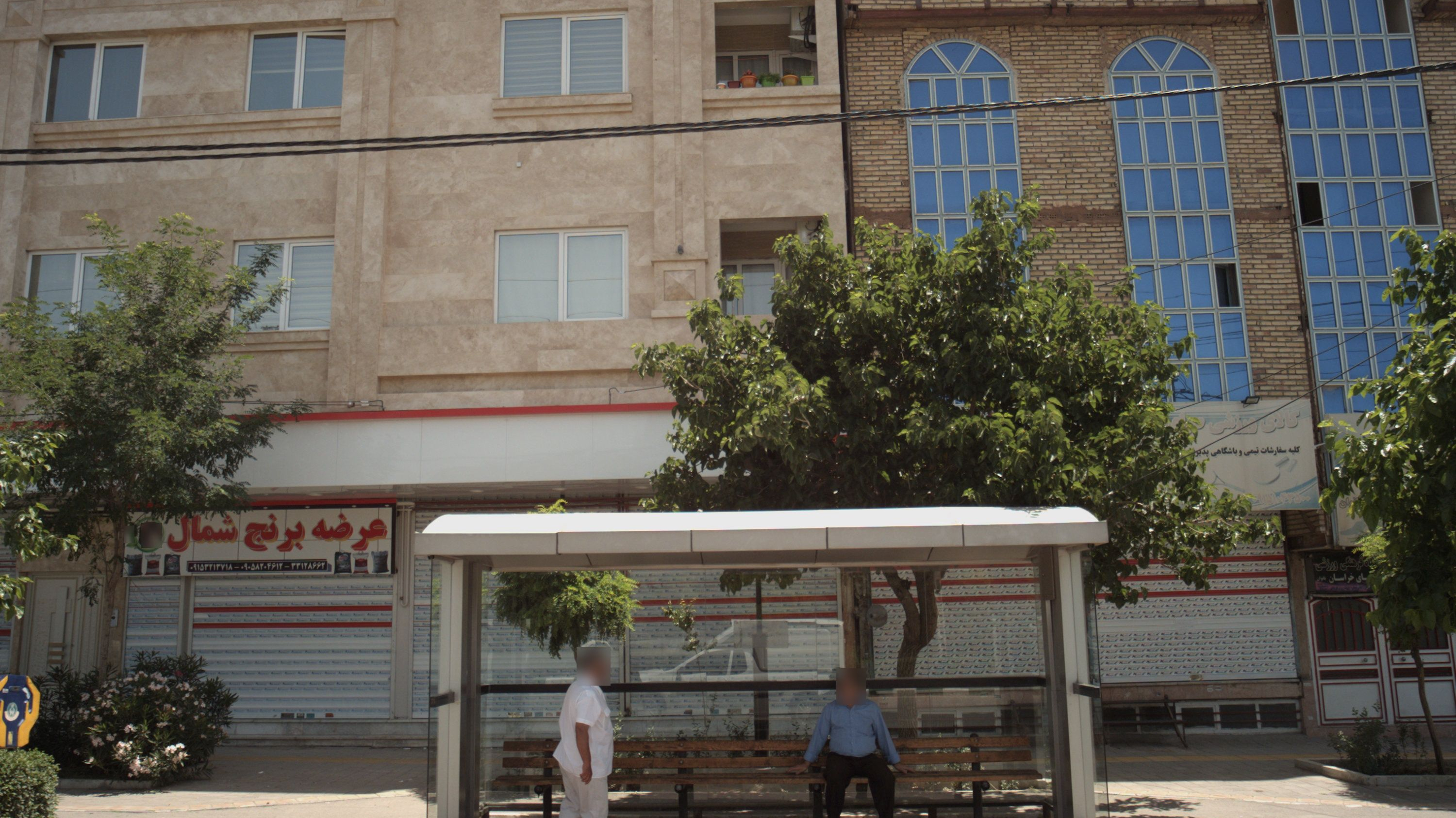 عرضه برنج شمال