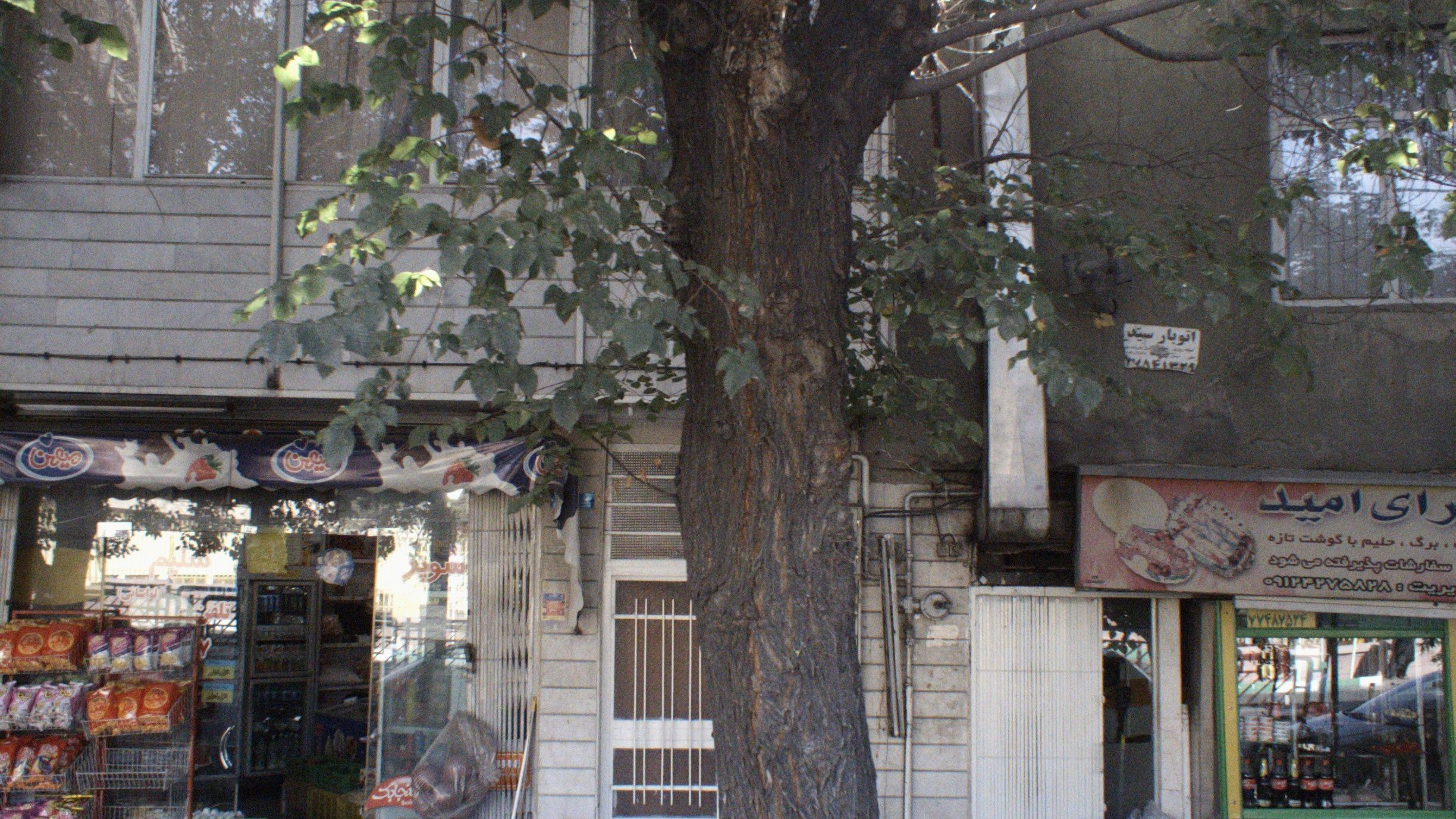 کبابسرای امید