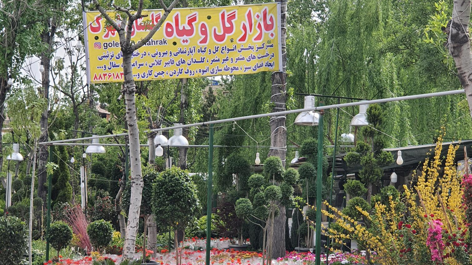بازار گل و گیاه گلستان شهرک