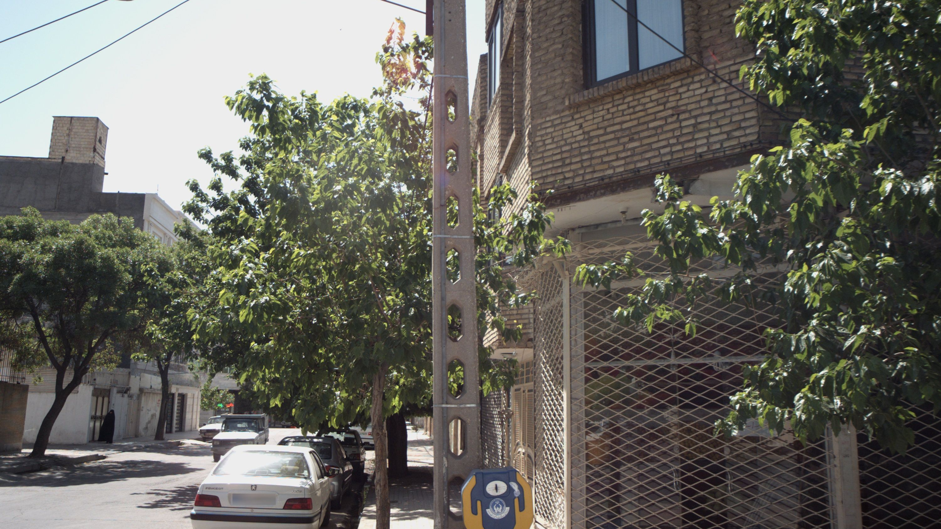 میوه فروشی