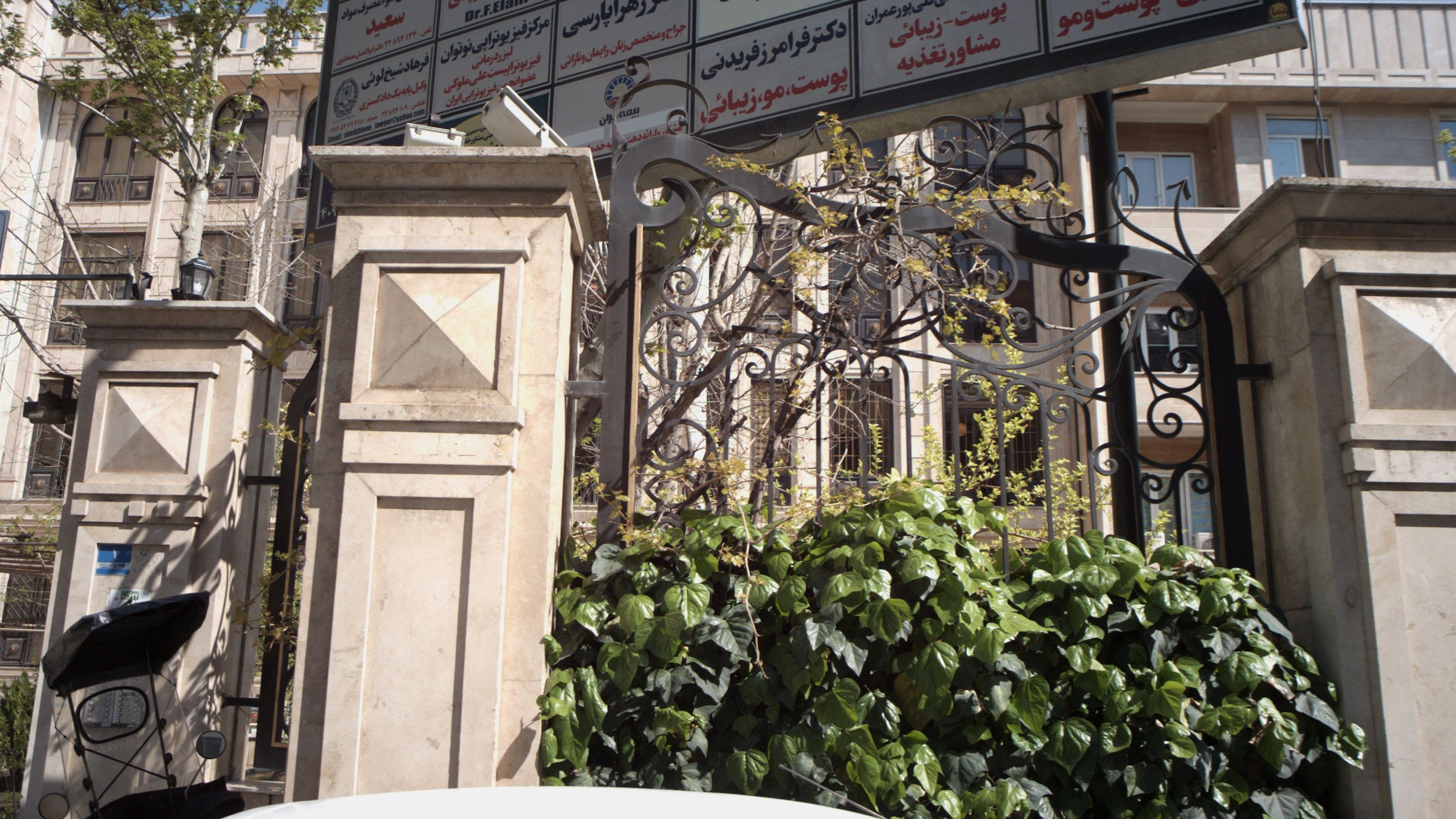دکتر سید سعید علوی