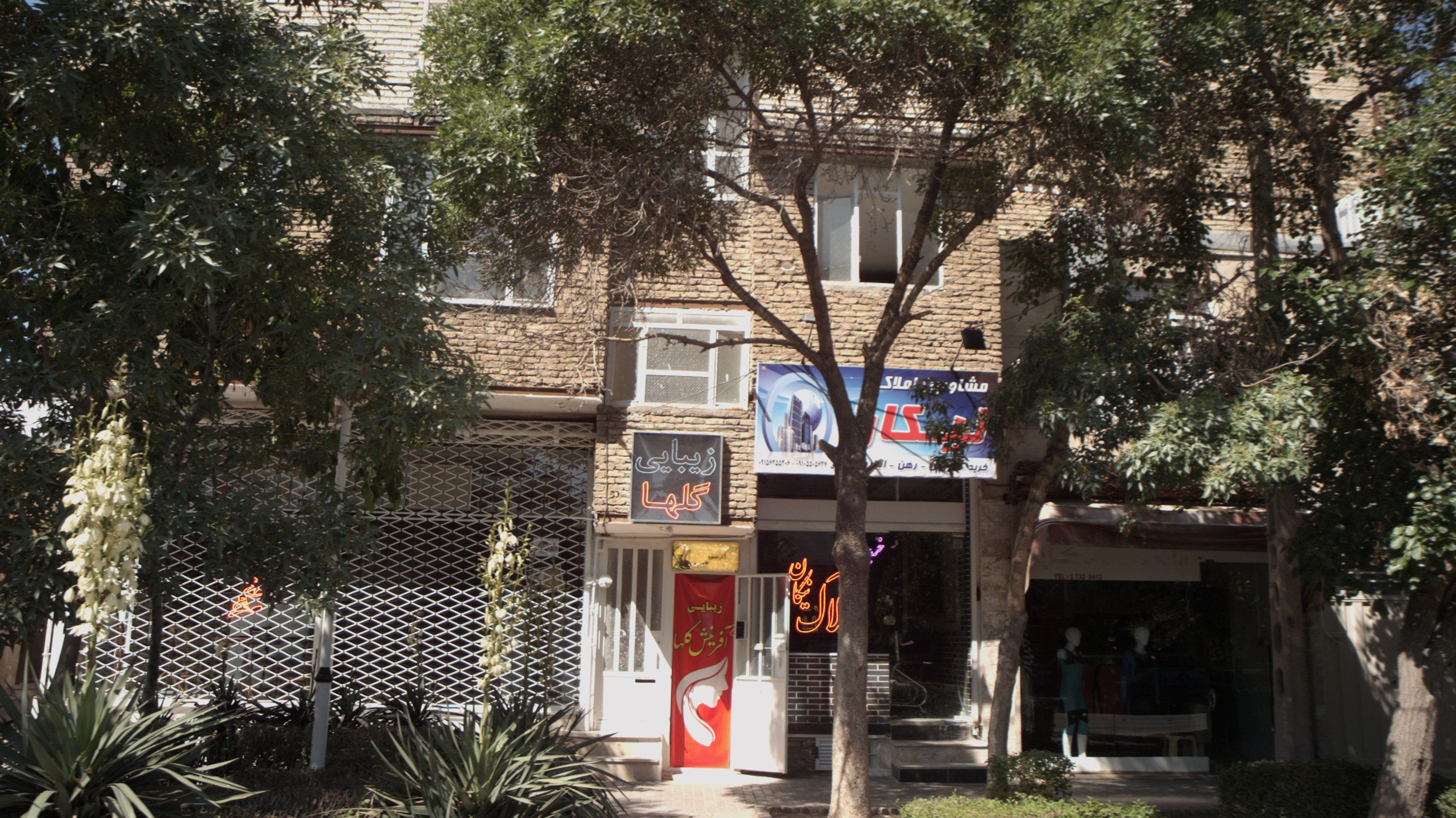 زیبایی آفرینش گلها