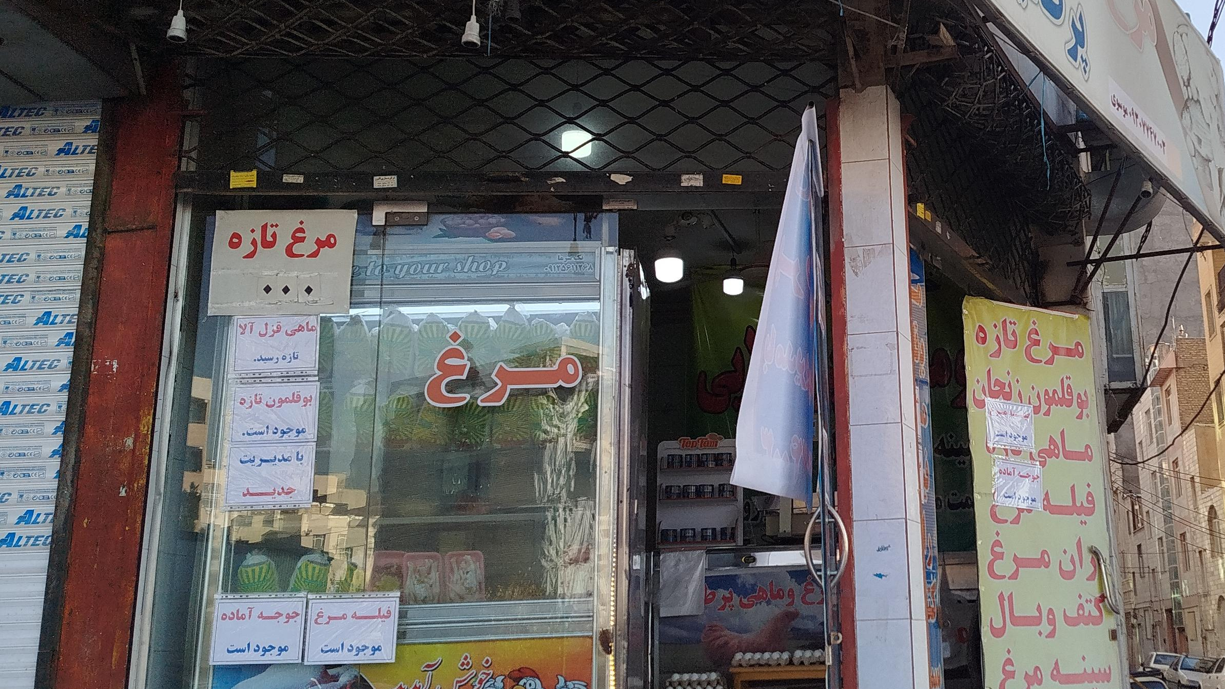 مرغ و ماهی پر طلایی موسوی