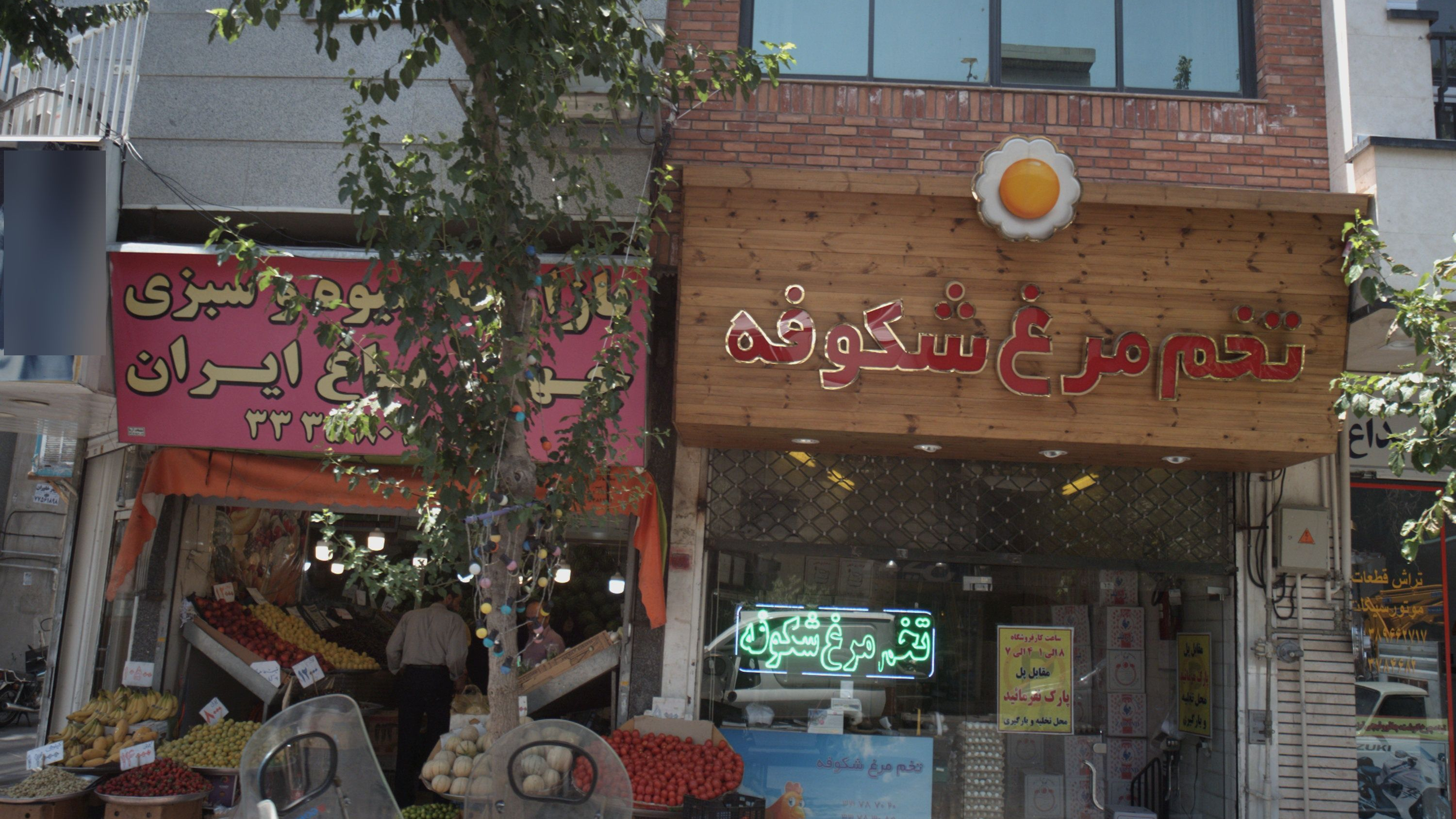 تخم مرغ شکوفه