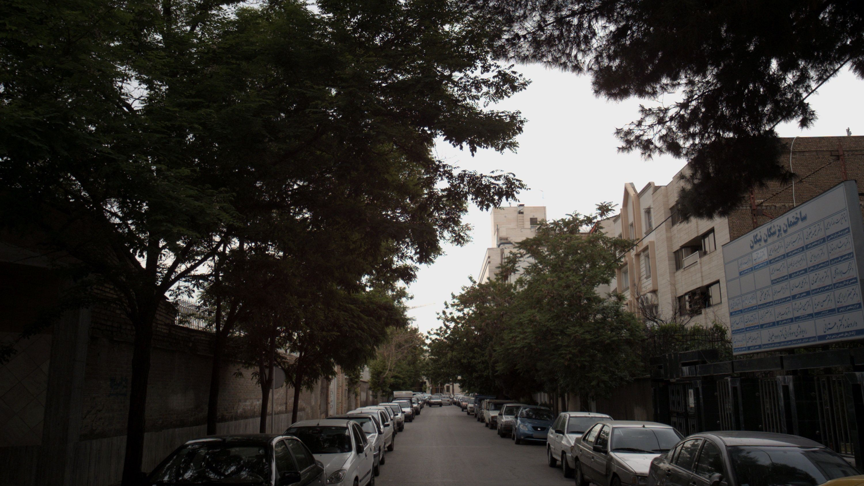 مطب دکتر سینا احمدی