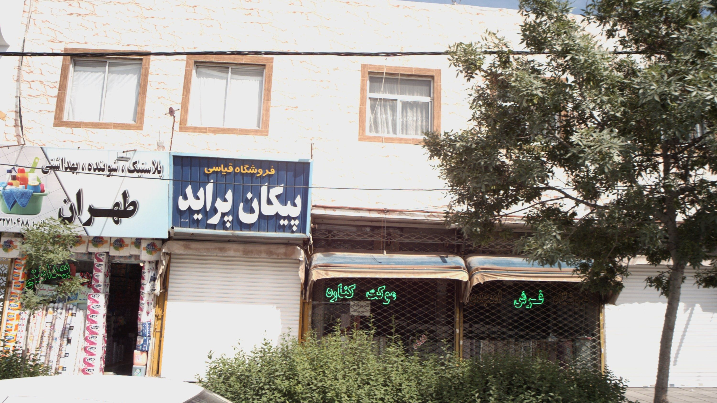 فروشگاه فرش امجدی