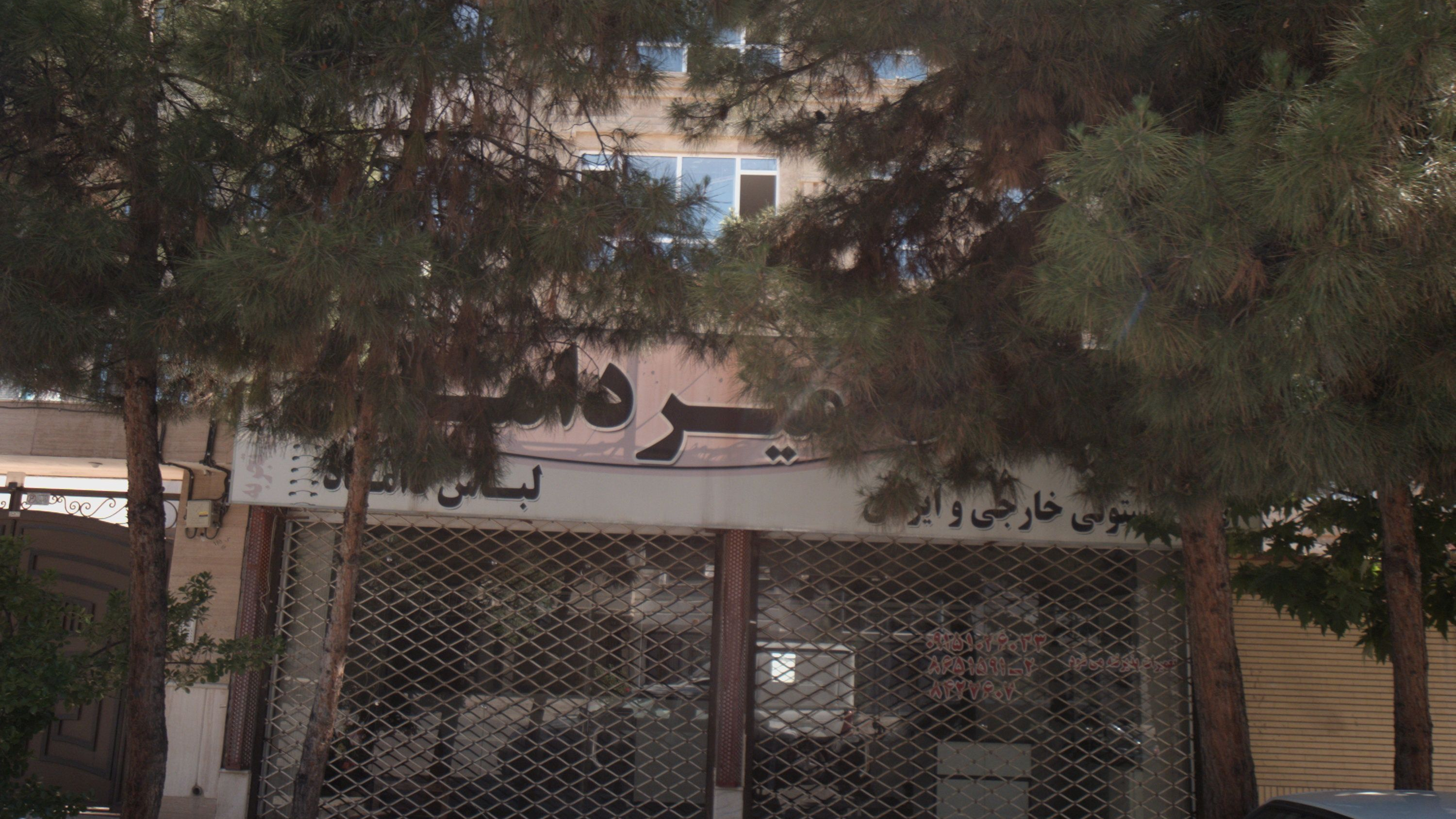 خیاط میرداماد