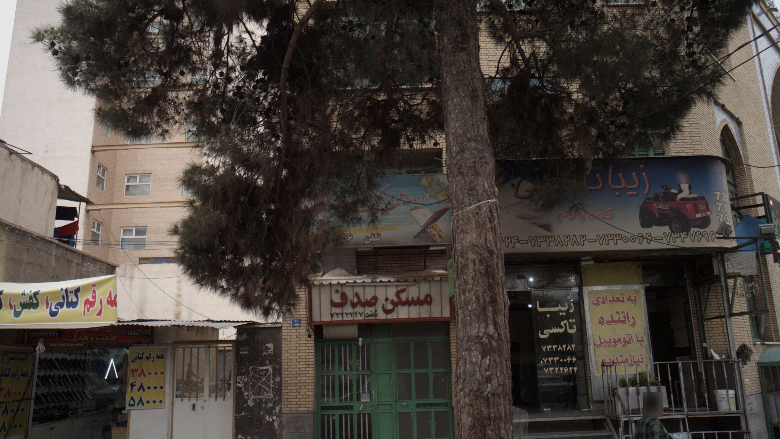 مسکن صدف