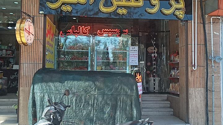 پروتئین امیر