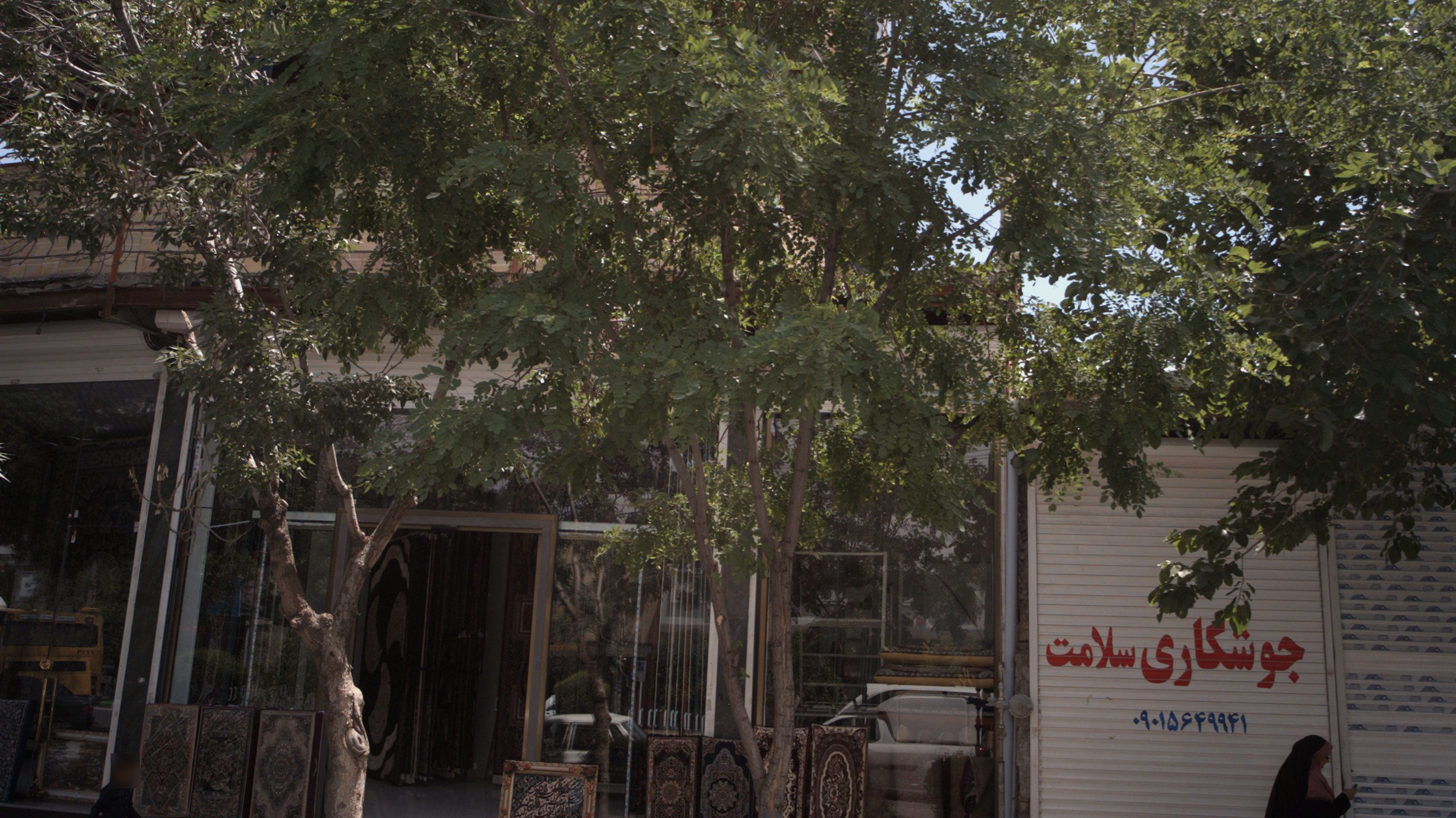 فروشگاه فرش