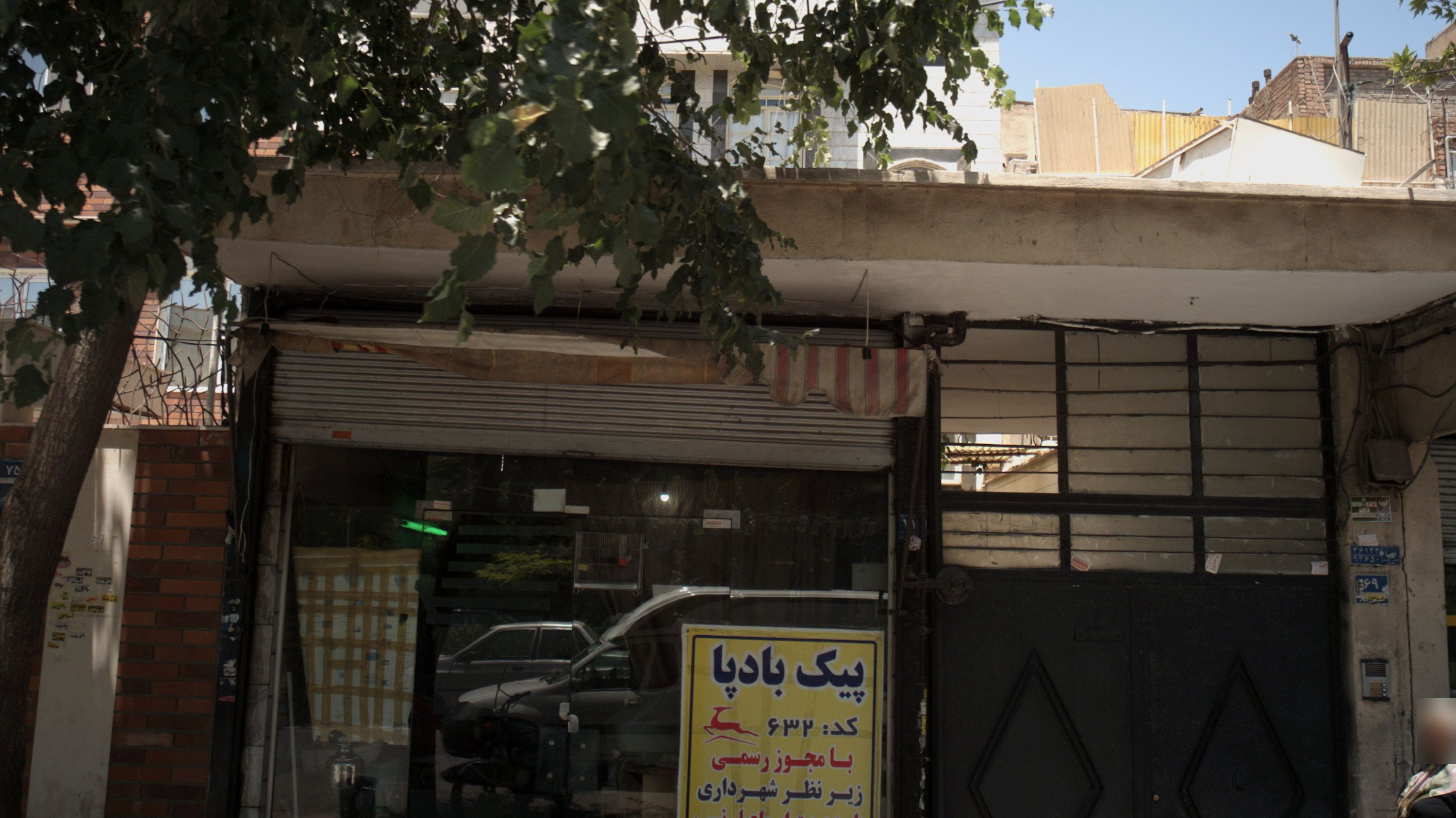 پیک بادپا