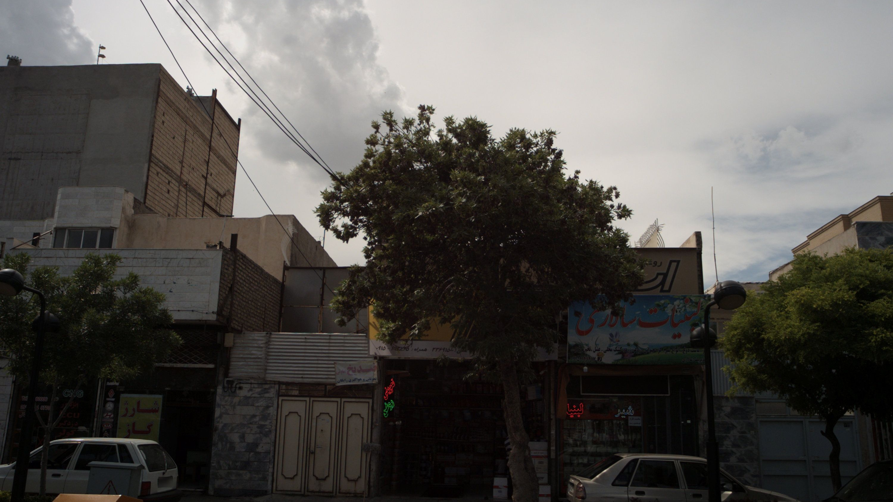 لبنیات سالاری