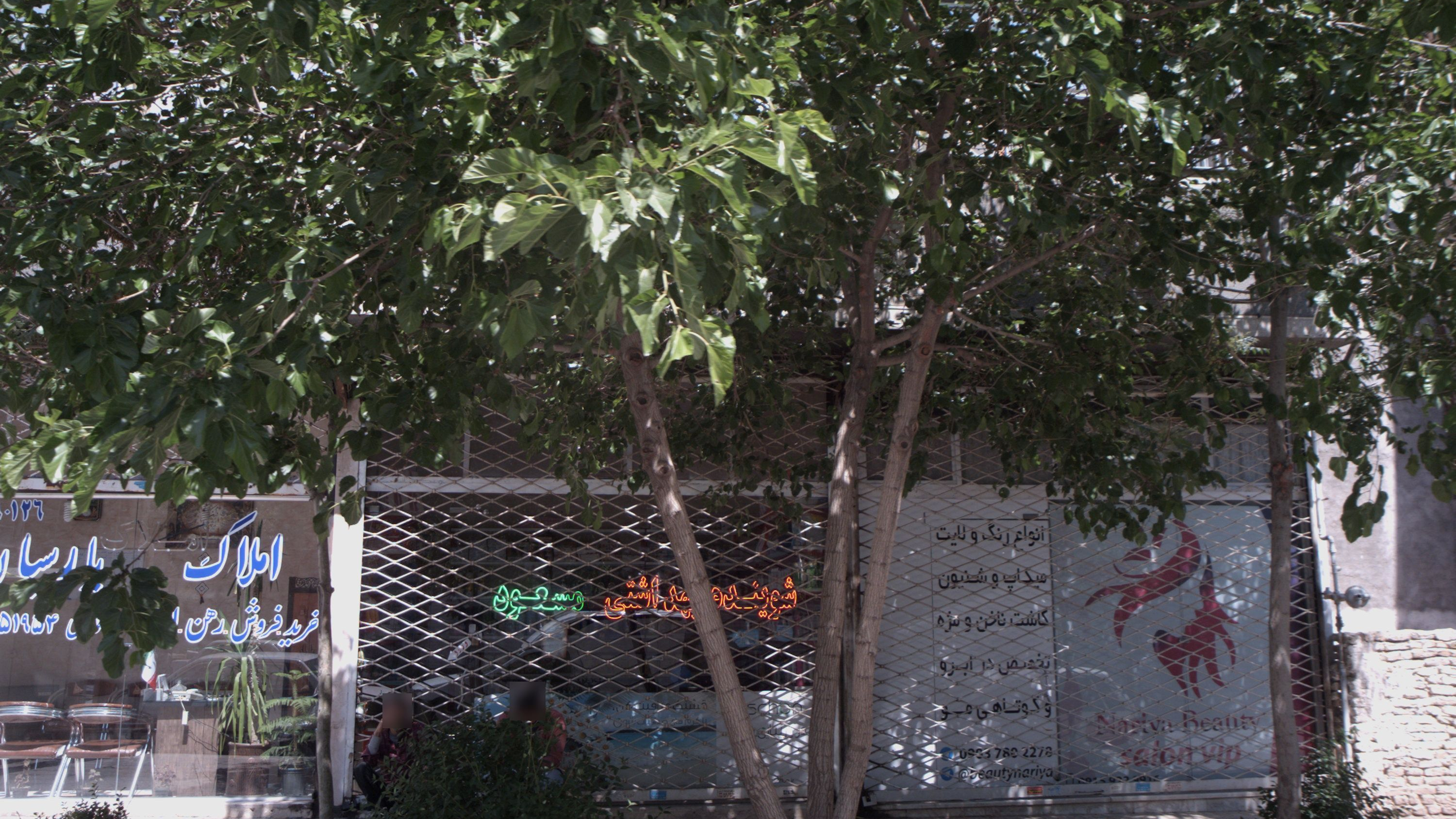 شوینده و بهداشتی مسعود