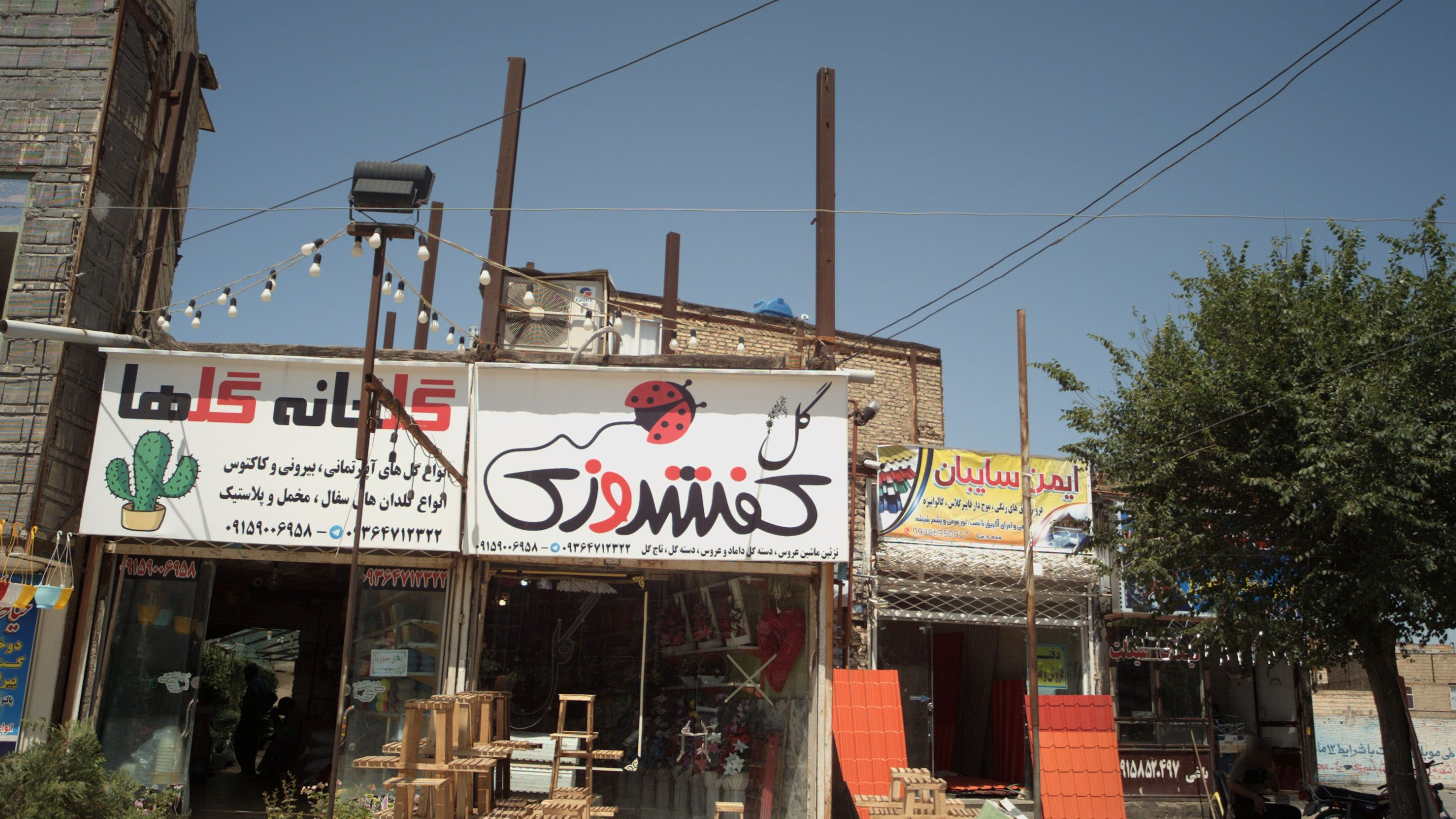 گلخانه گلها