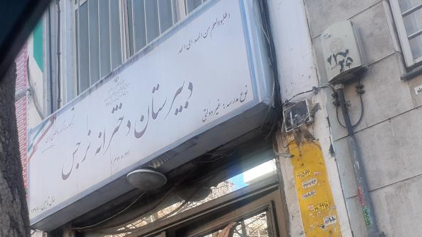 نرگس