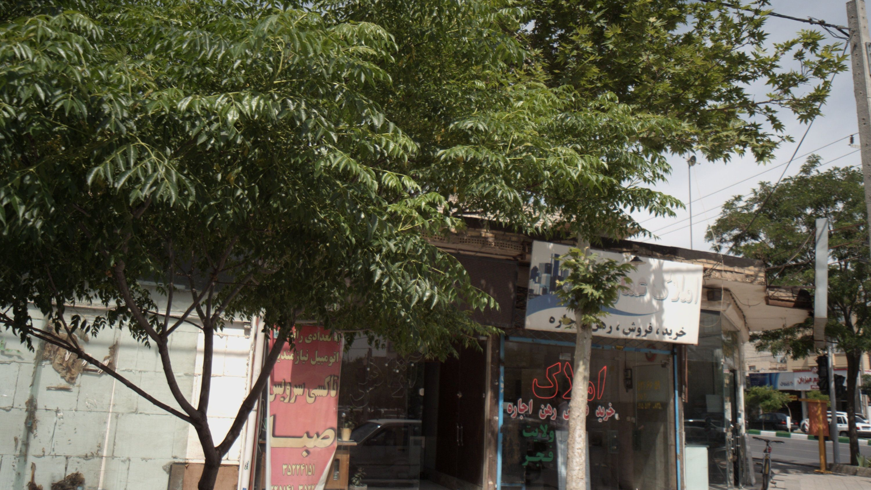 تاکسی سرویس صبا