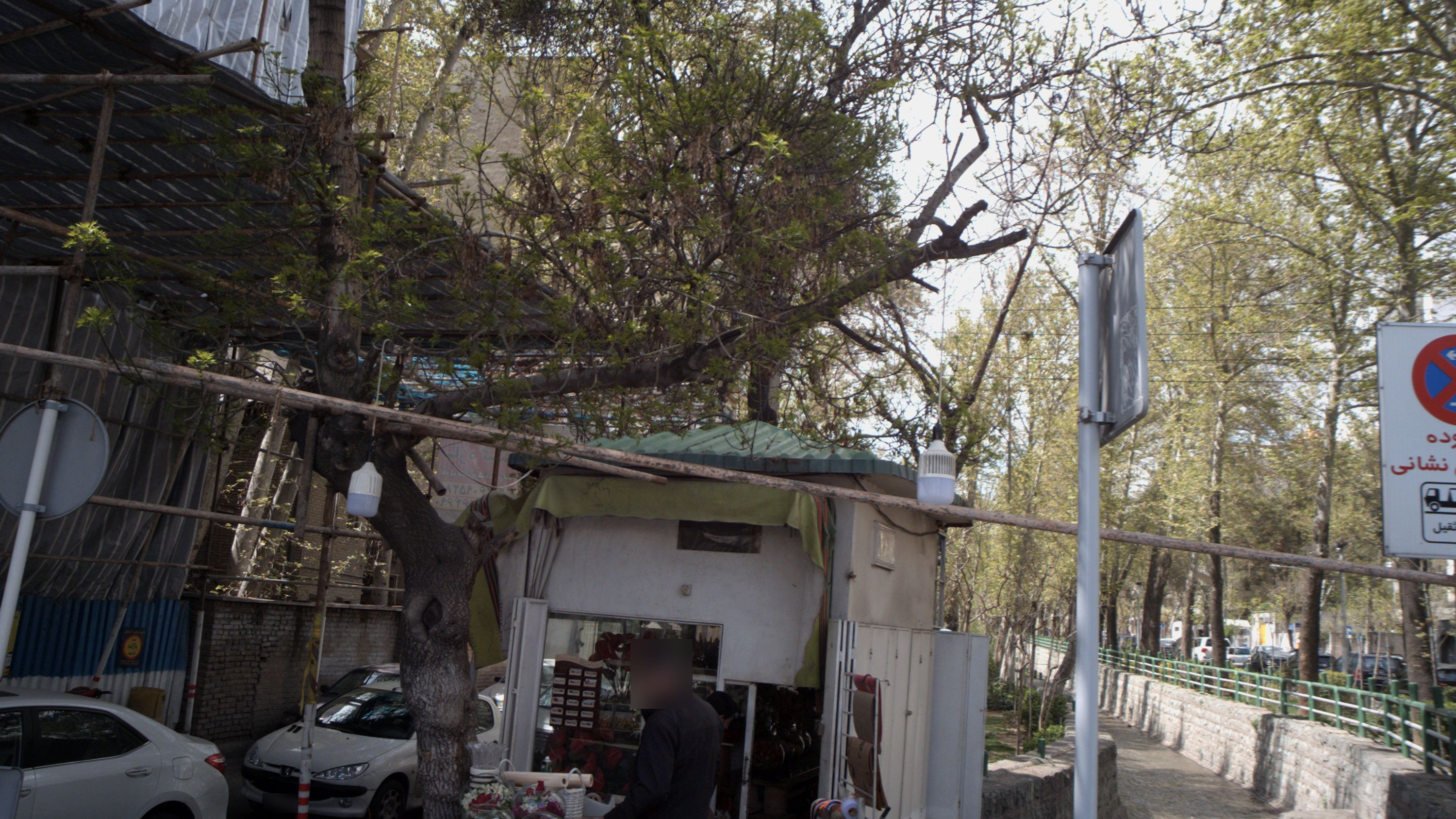 دکه گل فروشی