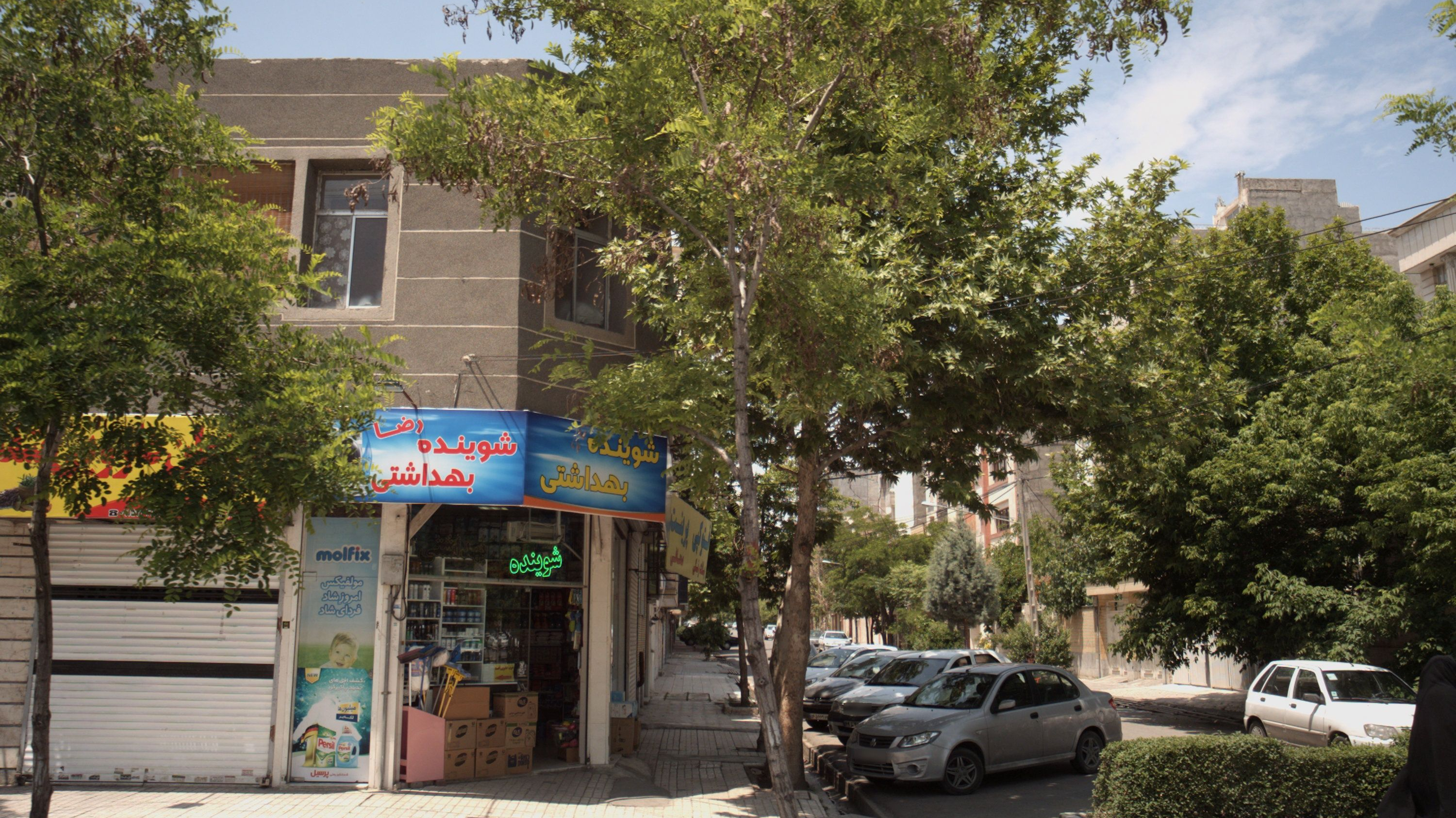 شوینده بهداشتی رضا