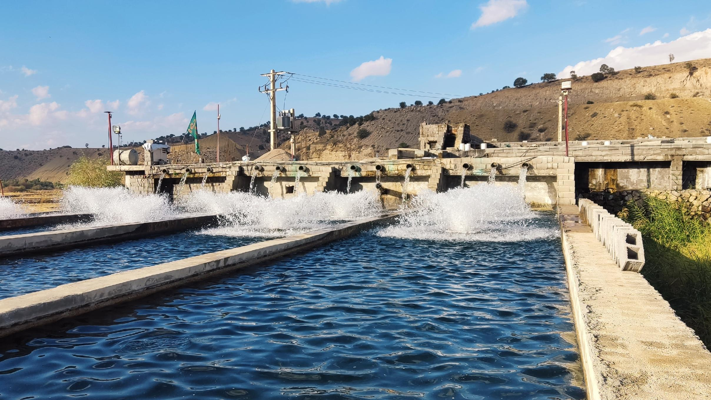 پرورش ماهی برزگریان