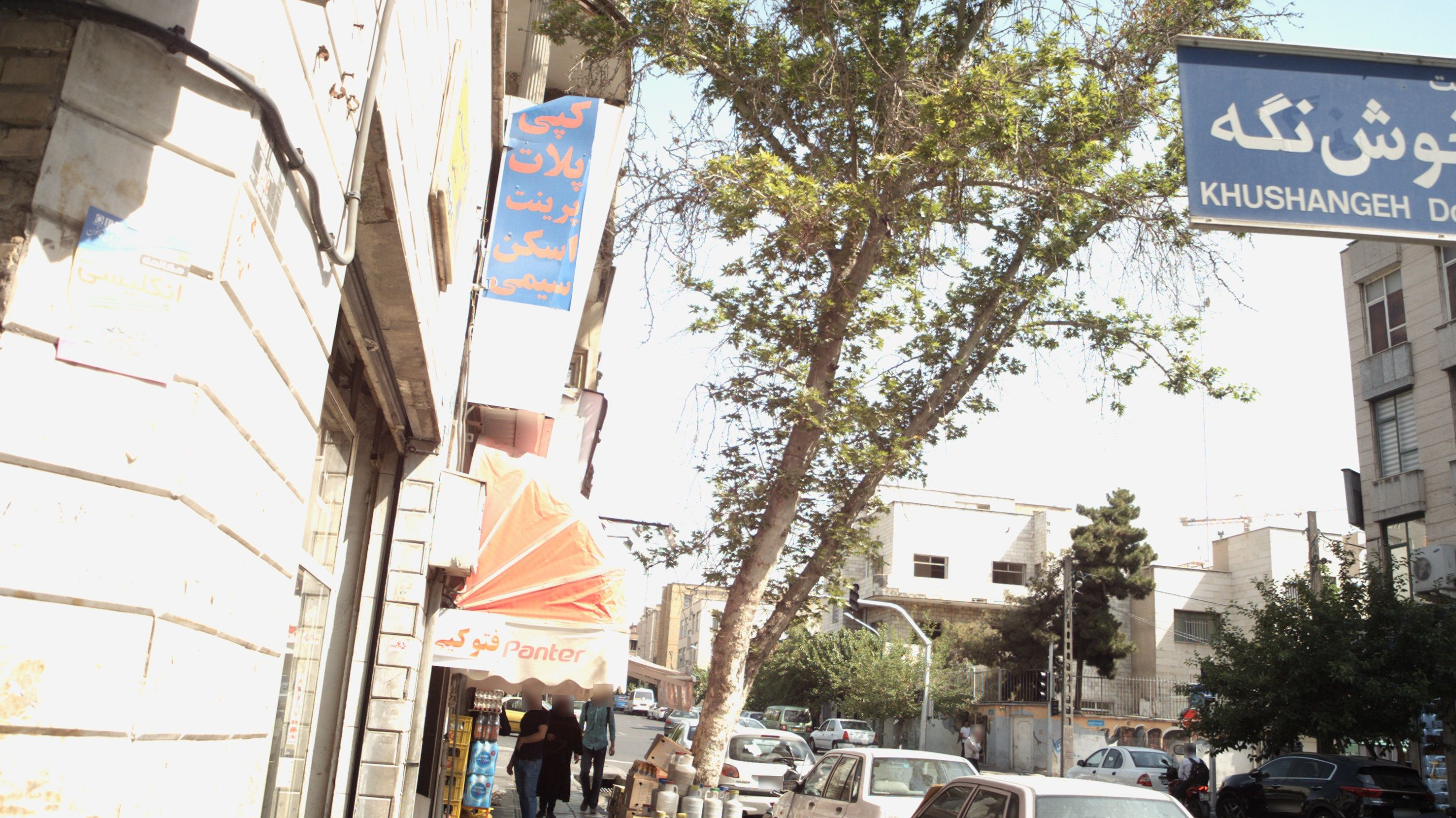 دکتر طاهره امین ناصری
