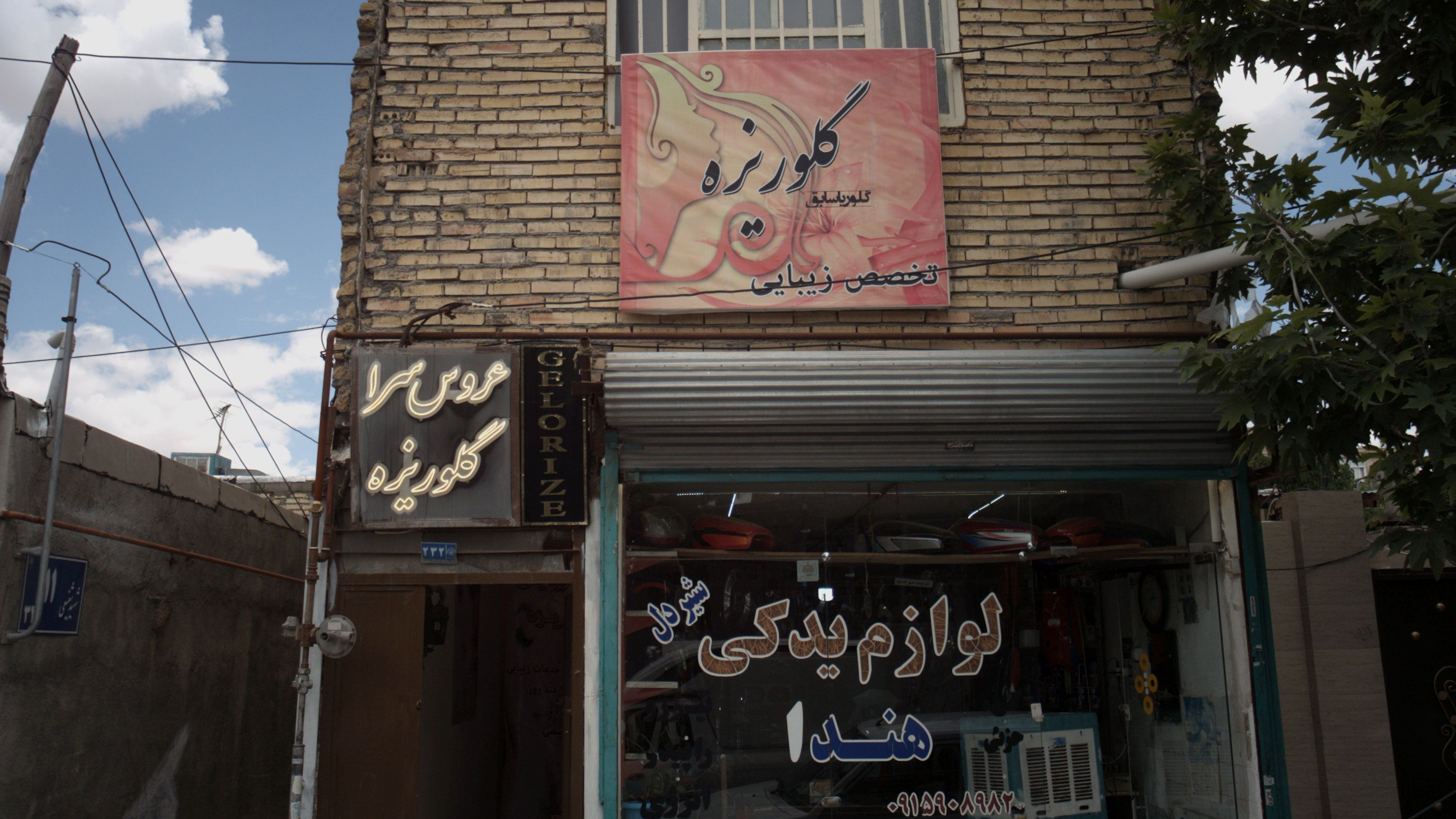 شیر دل