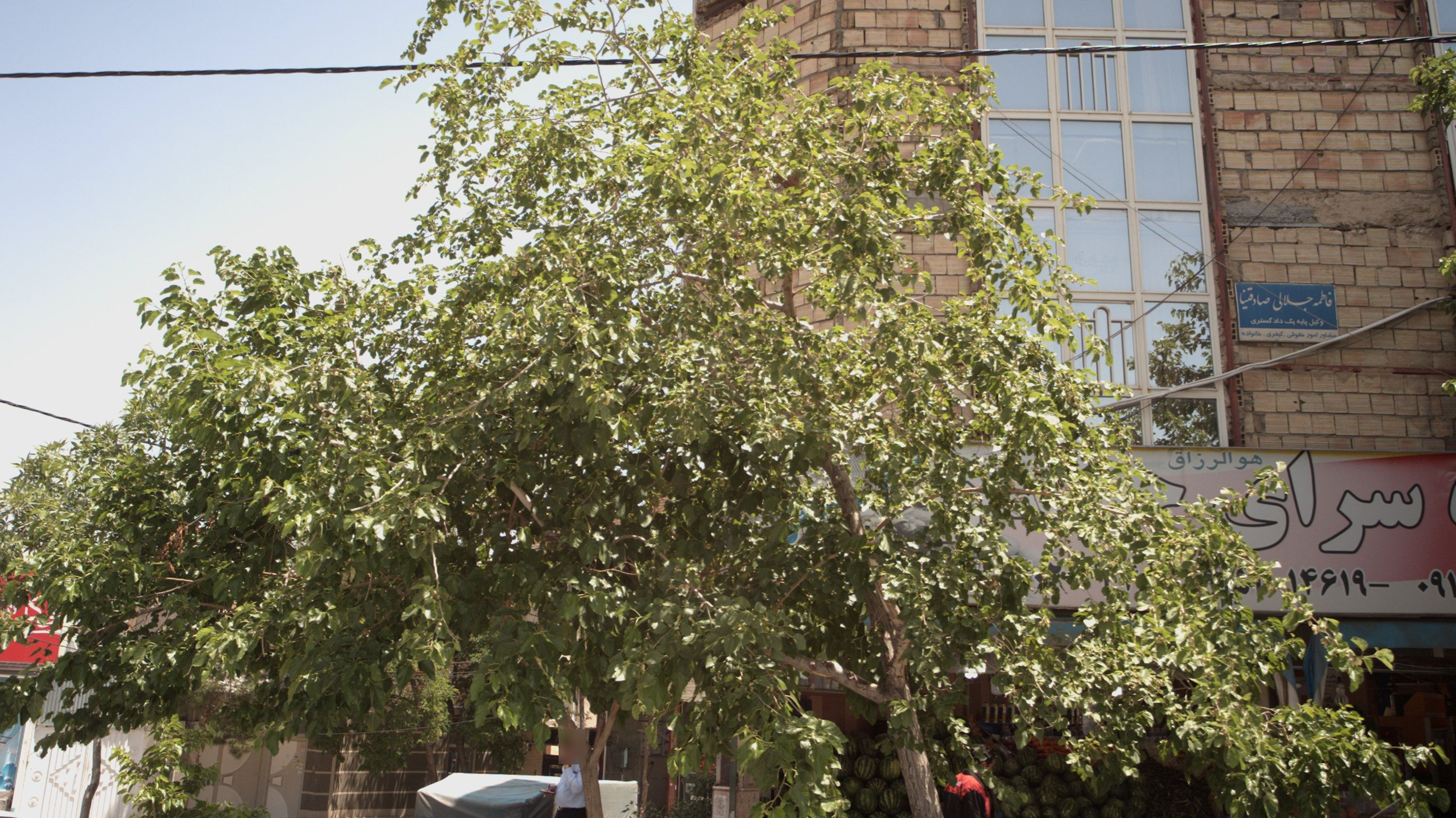 دفتر وکالت فاطمه جلالی صادقنیا