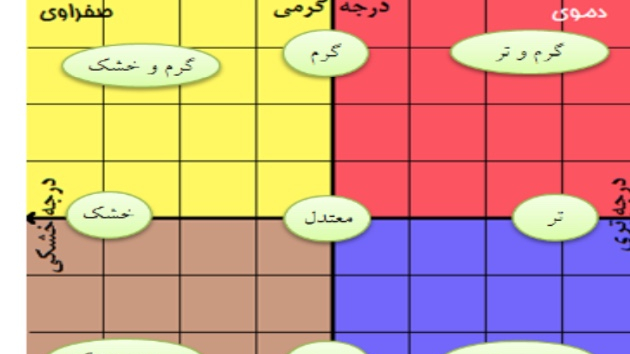 عطاری و گیاهان دارویی زیتون