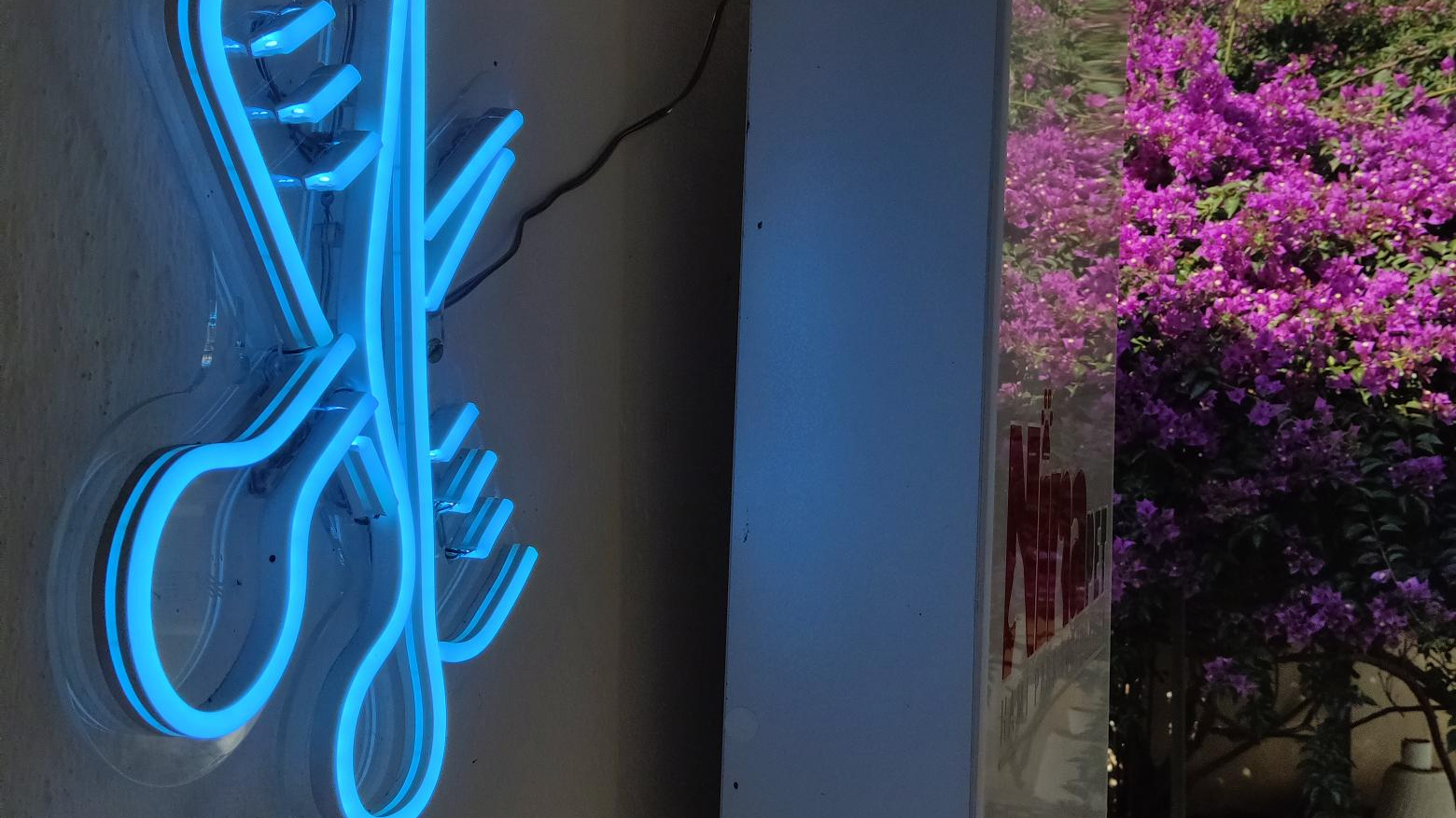 کلینیک دامپزشکی فرهنگ