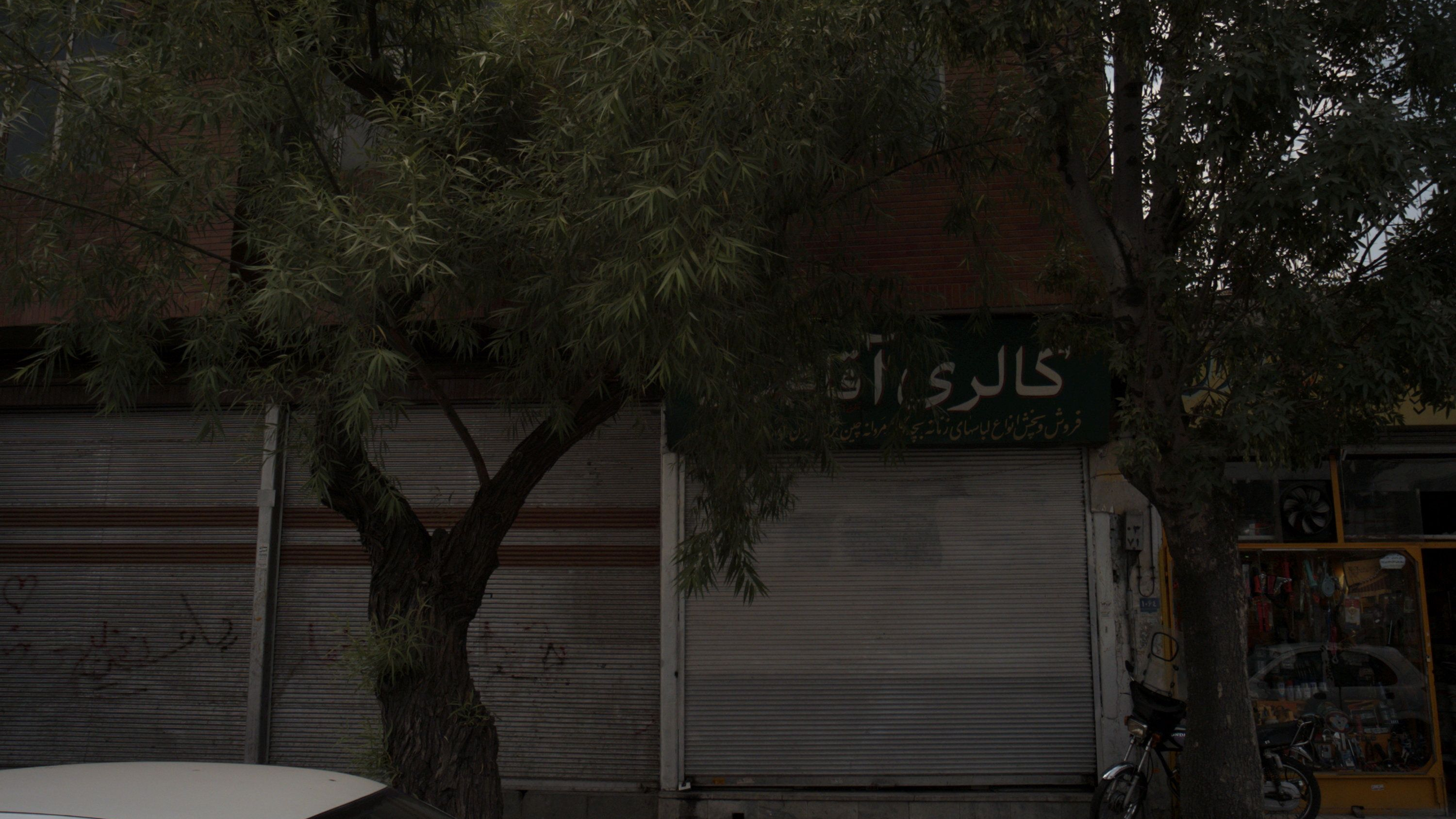 گالری آقا محمدی