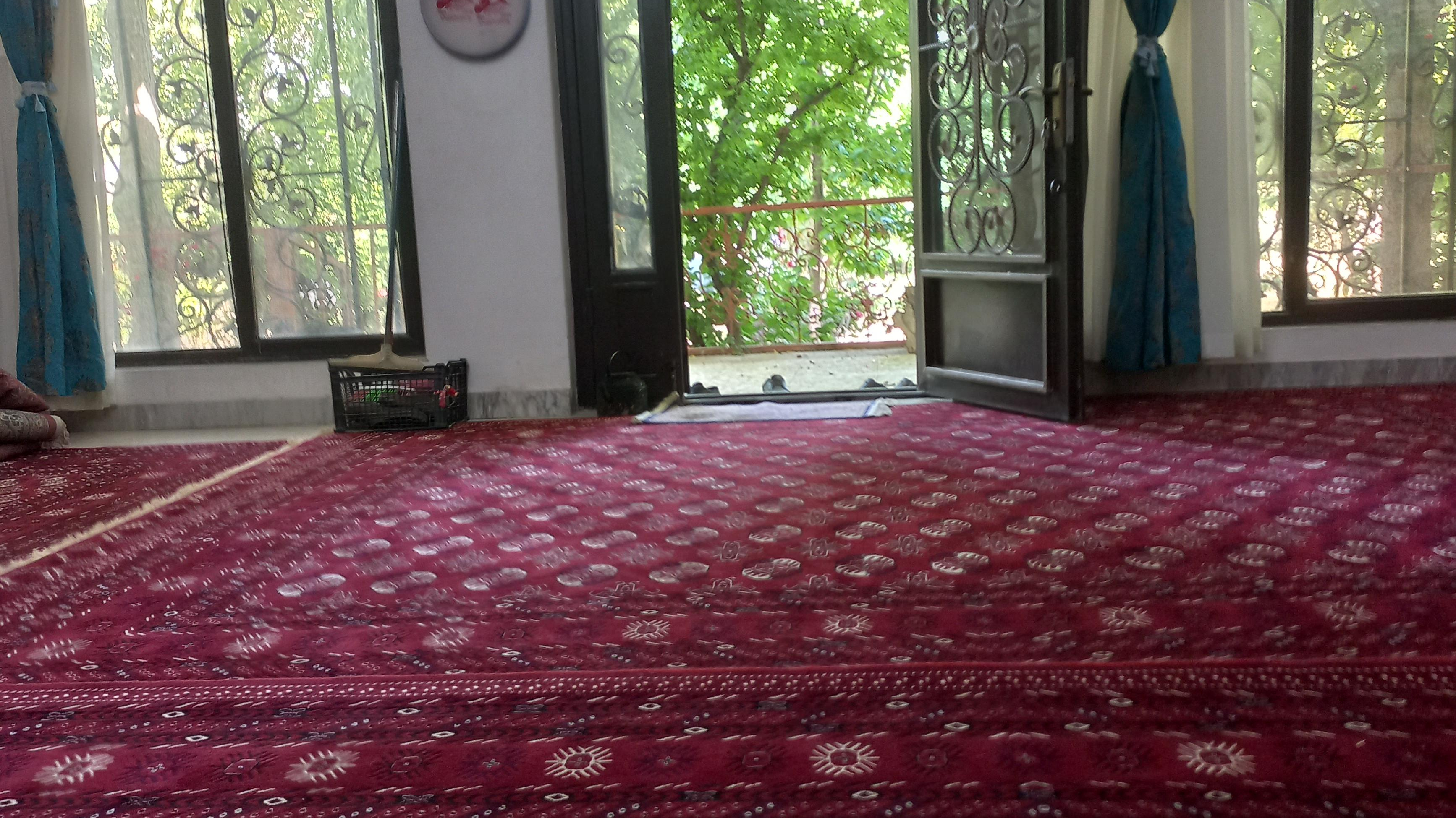 باغ علیرضامحمدی
