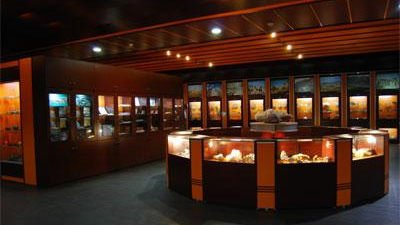 موزه علوم زمین
