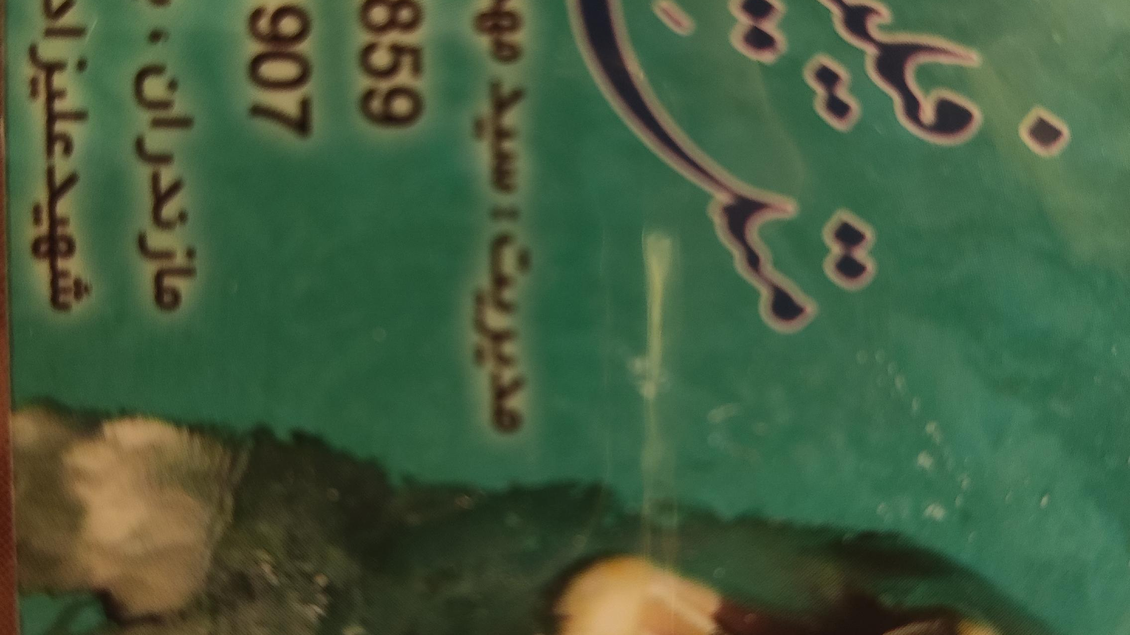 متل فیدیلیتی ۱