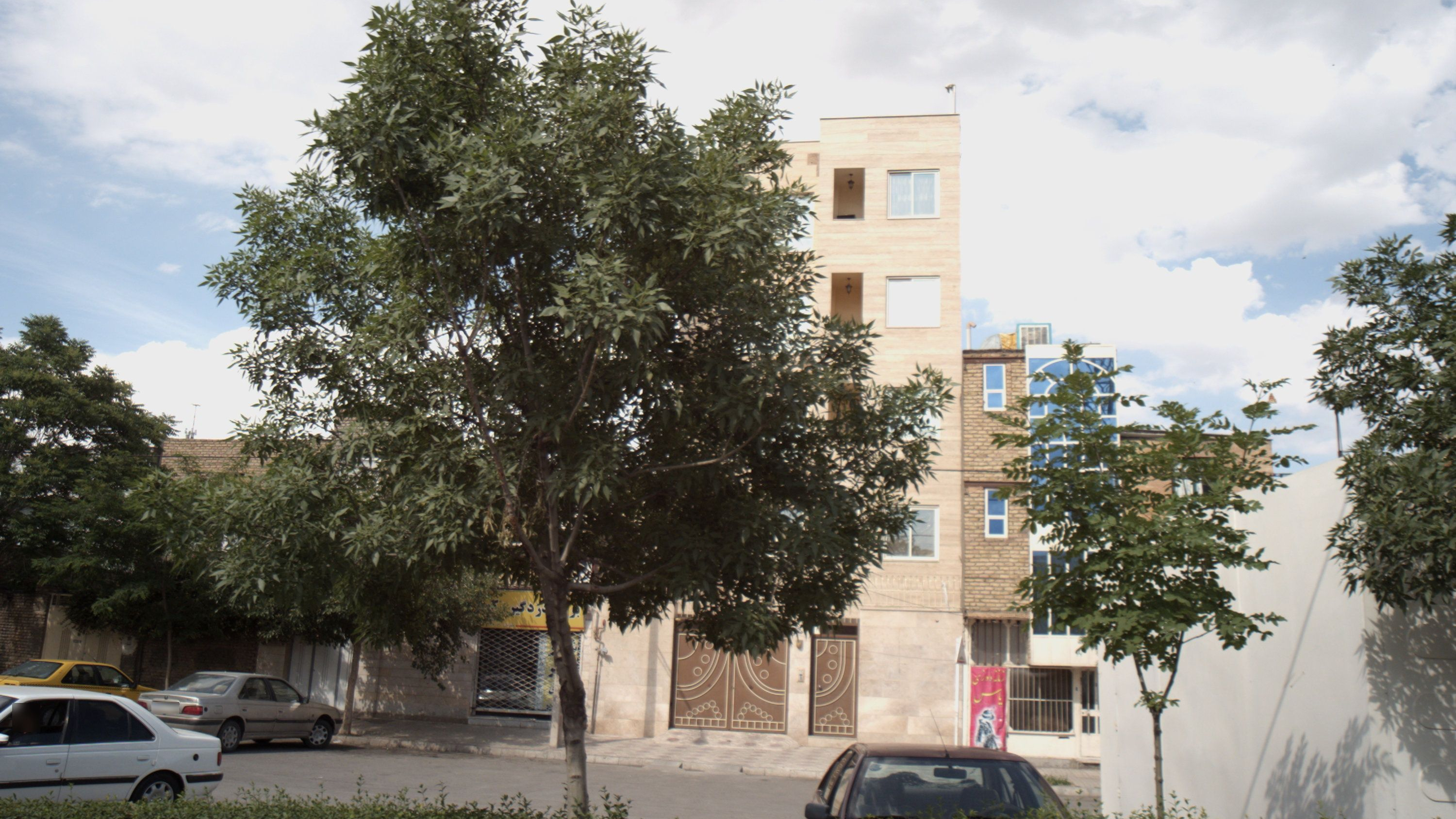 زنانه دوزی یاس