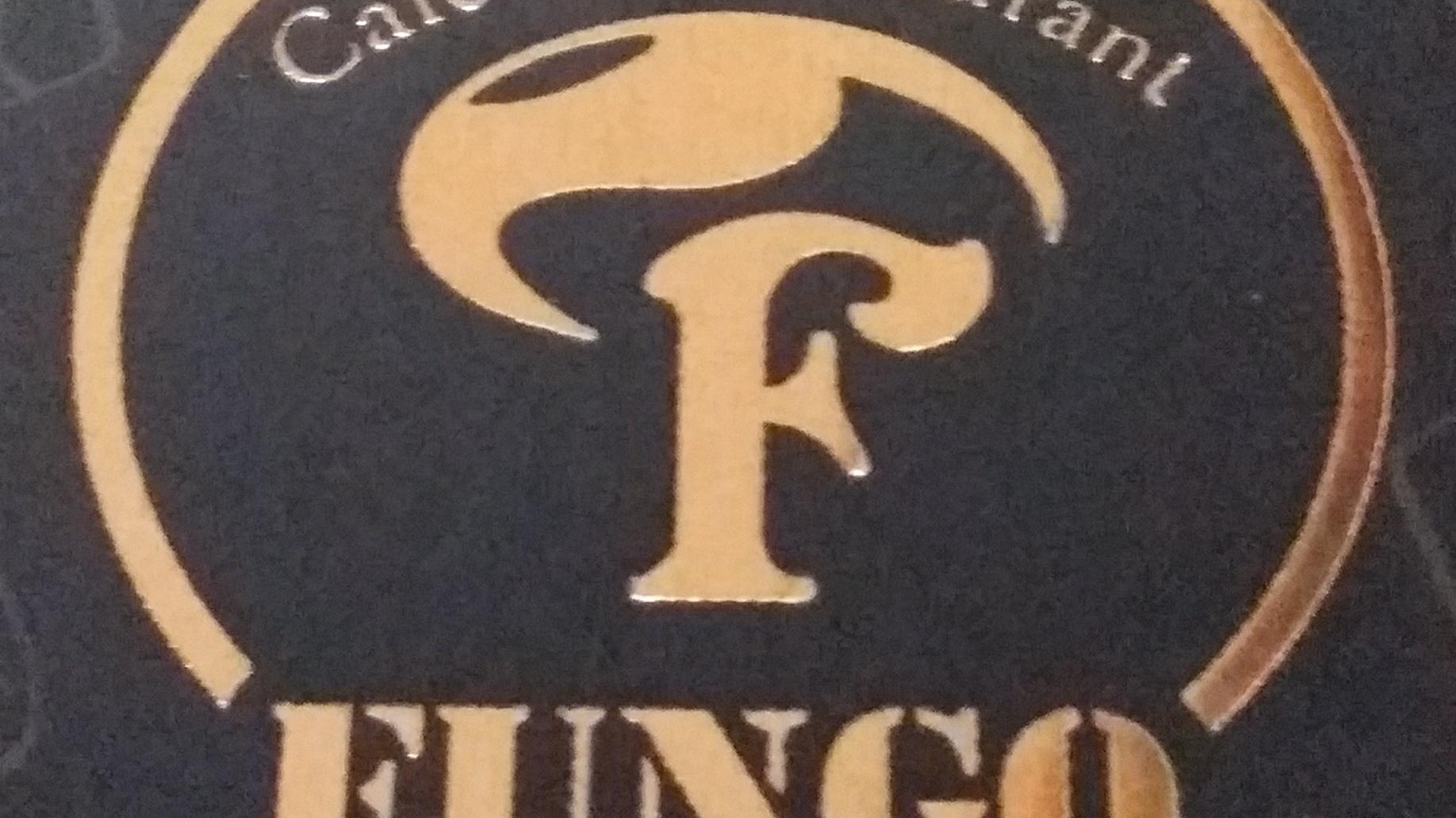 کافه رستوران فونگو