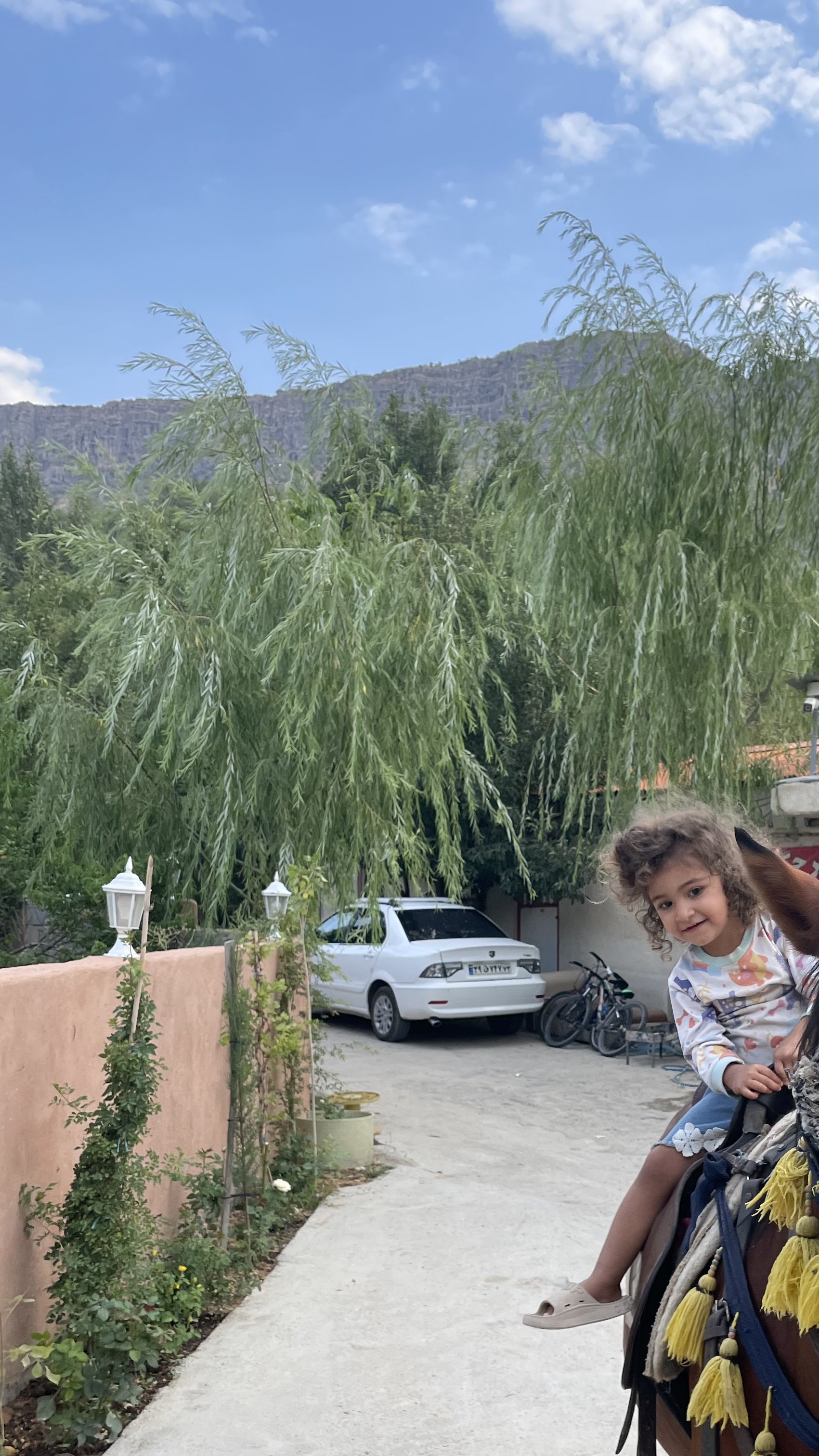 باغ گلشن