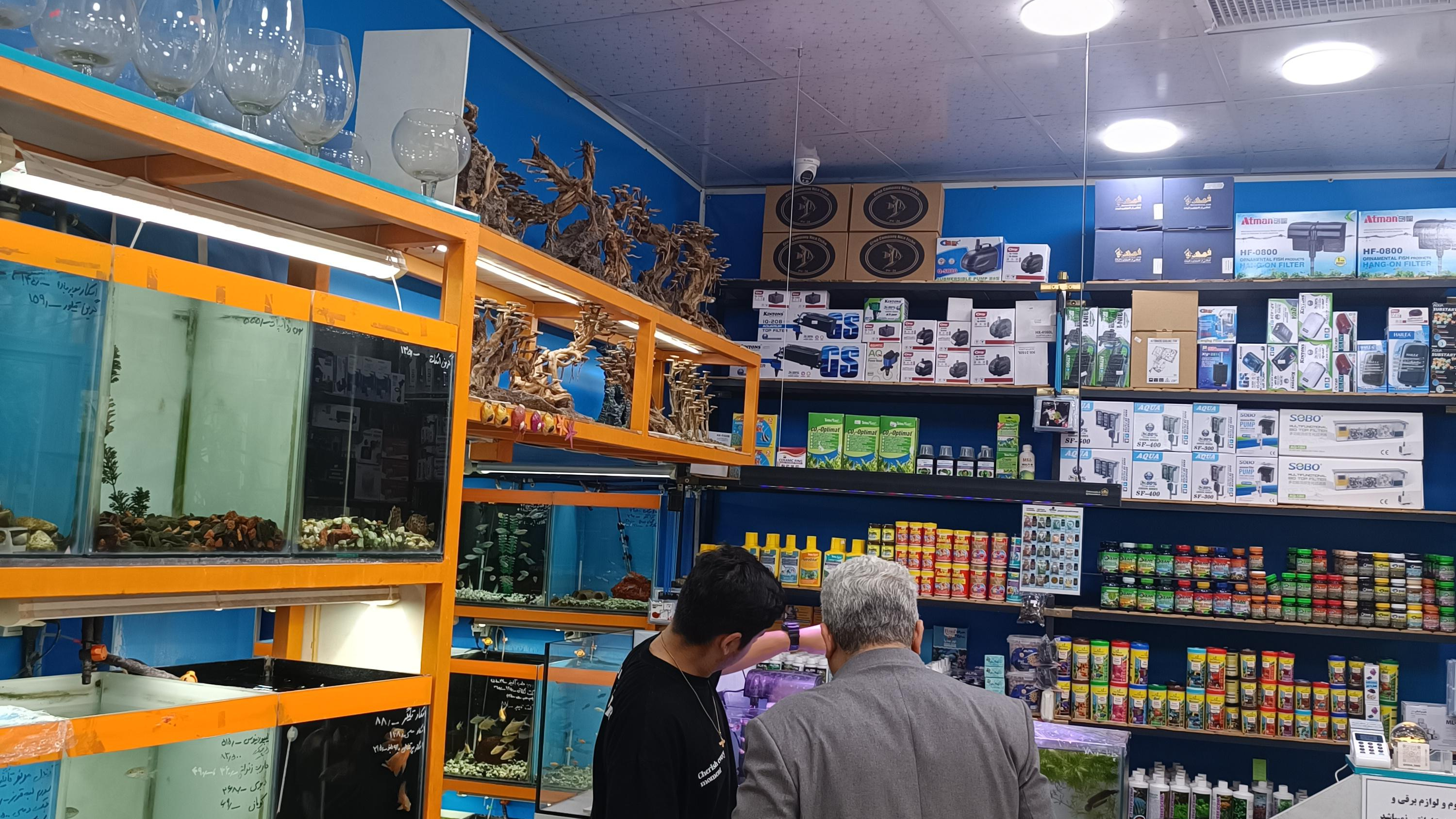 آکواریوم امید