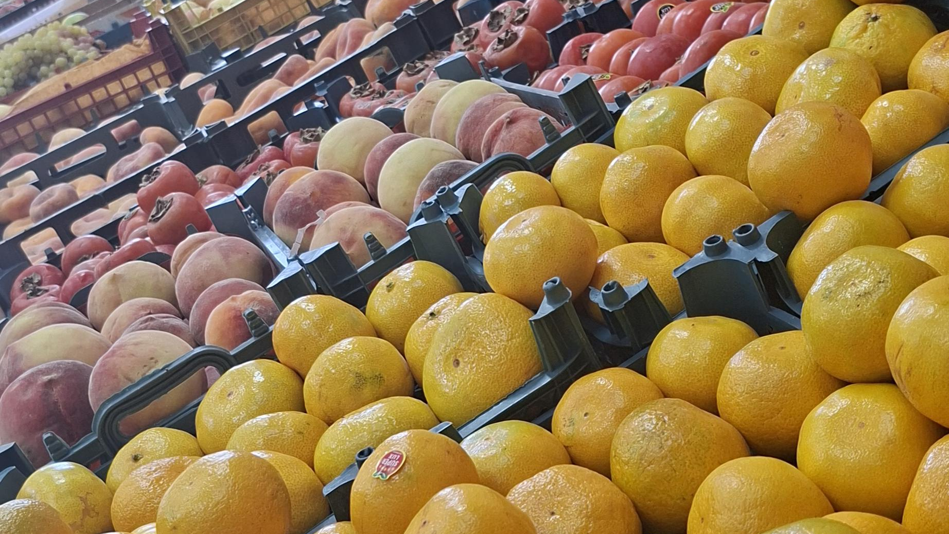 میوه فروشی شقایق