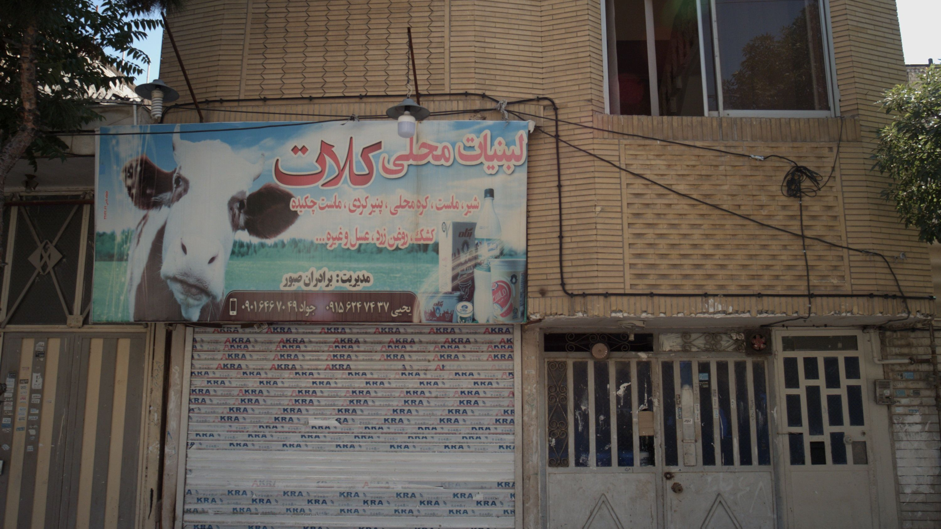 لبنیات محلی کلات