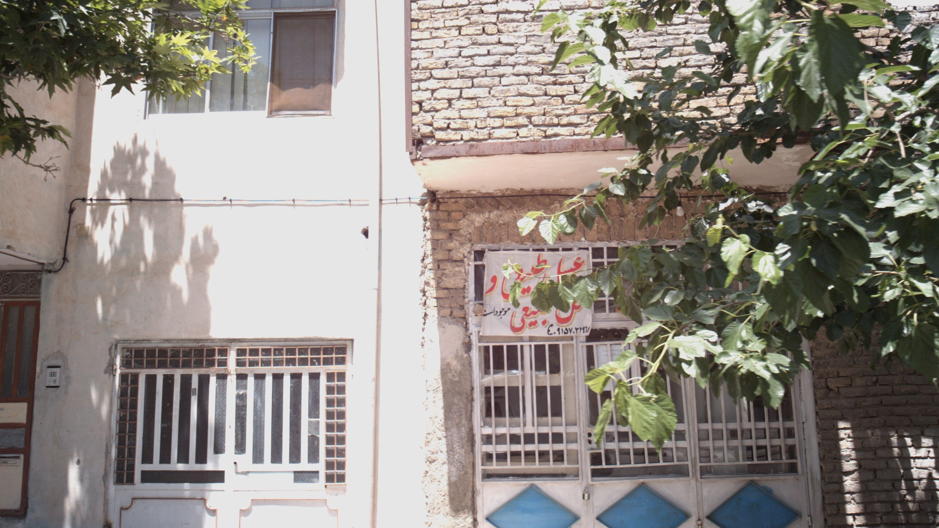عسل فروشی