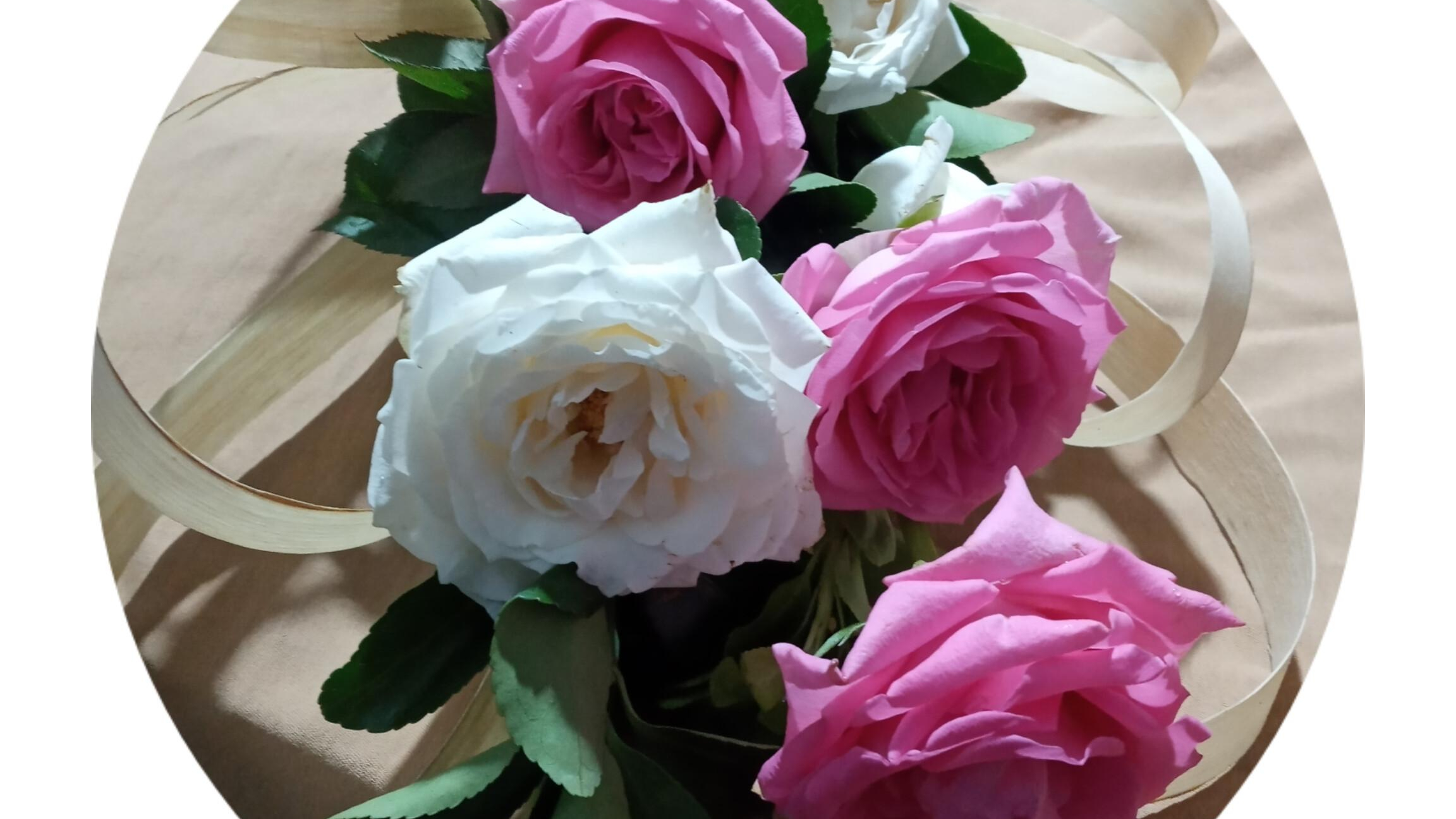 گلسرای قربانپور