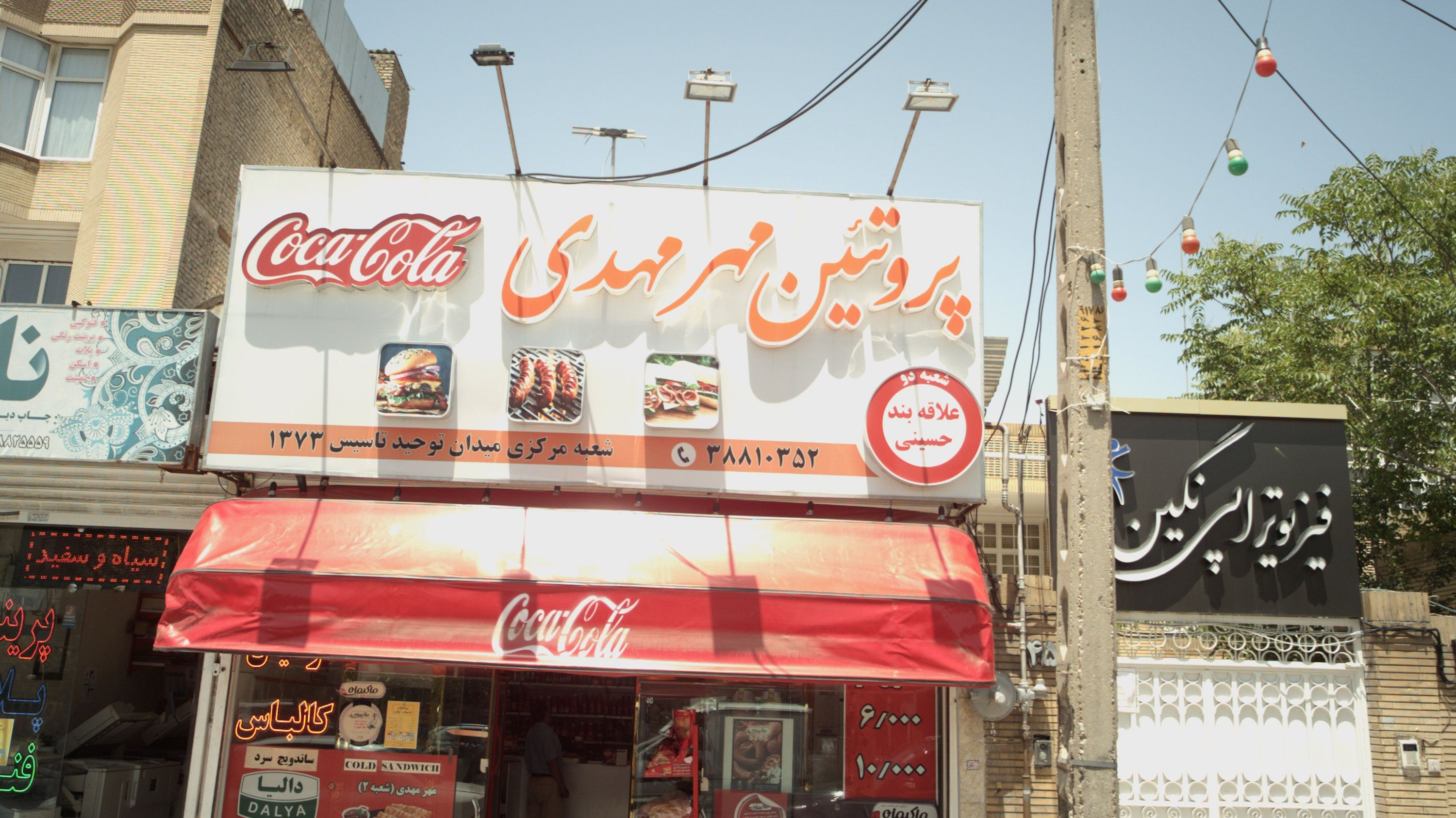 پروتئین مهر مهدی