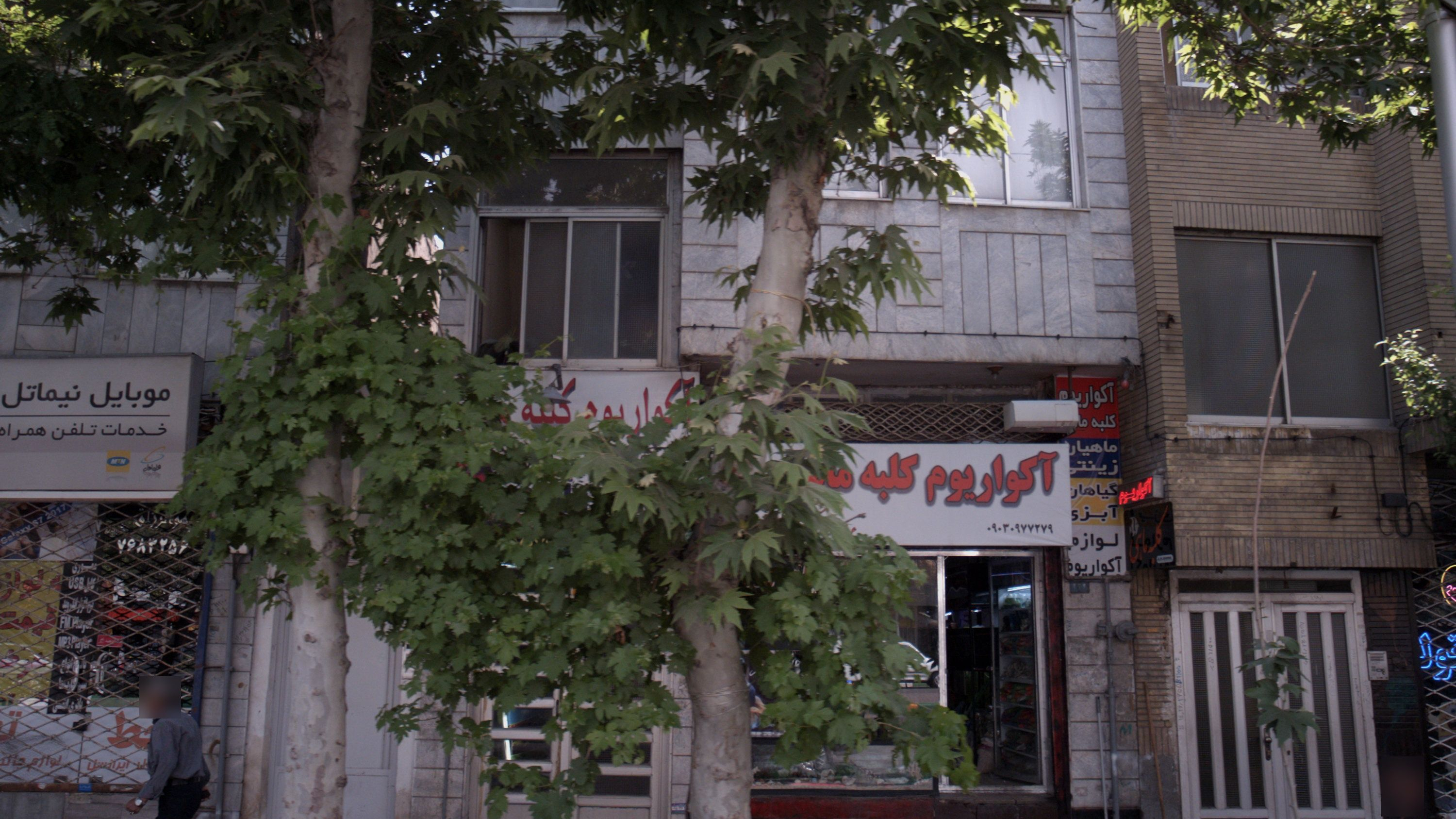 آکواریوم کلبه ماهی