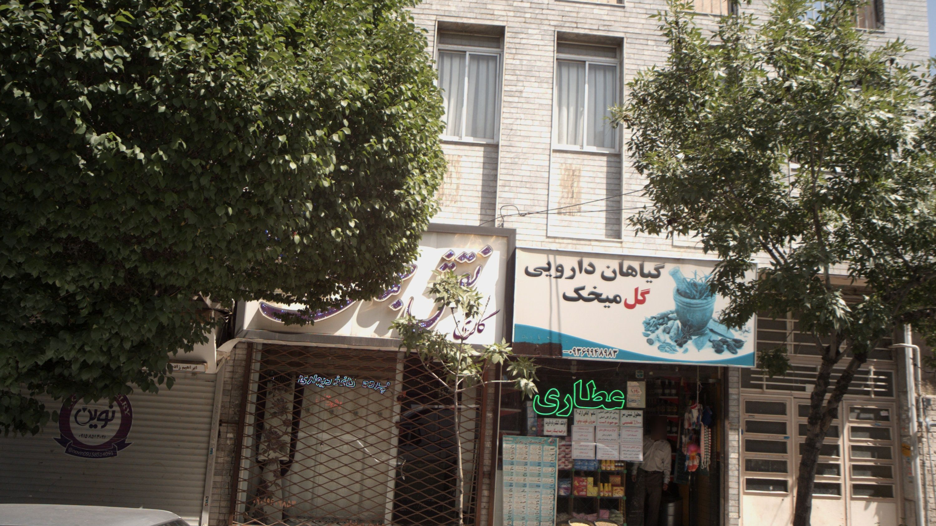 گیاهان دارویی گل میخک