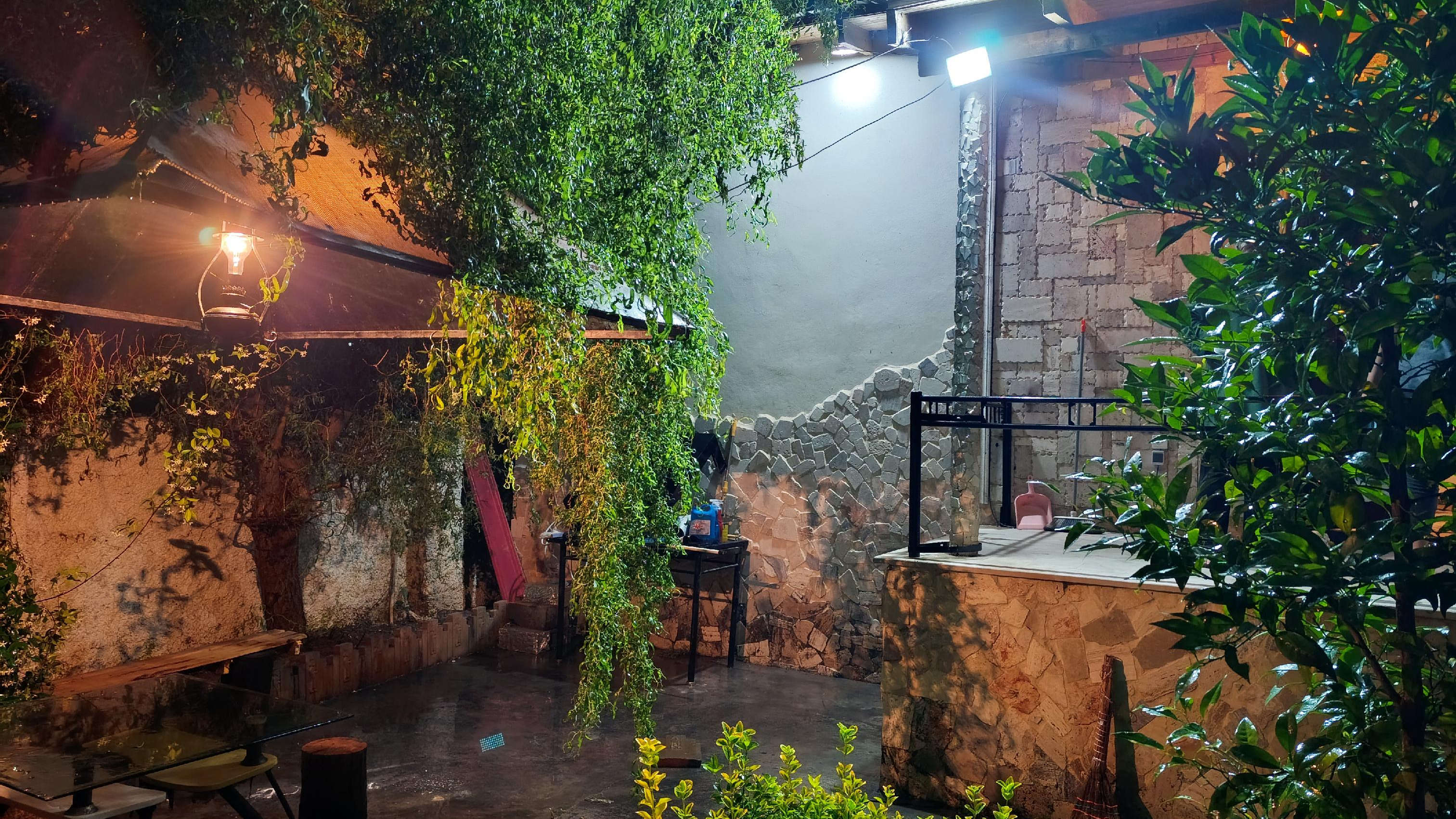 ویلا نوشیکا