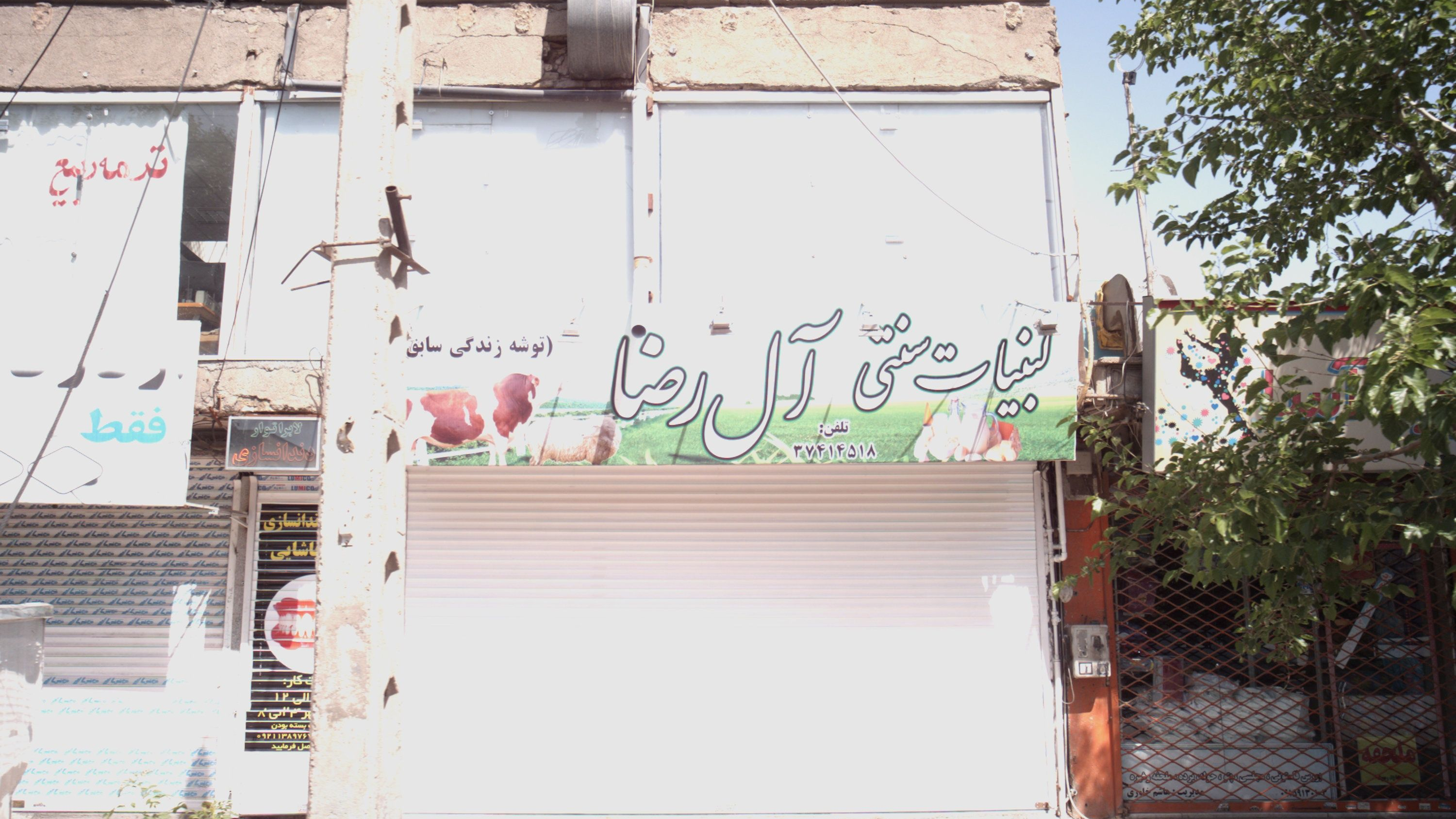 لبنیات سنتی آل رضا