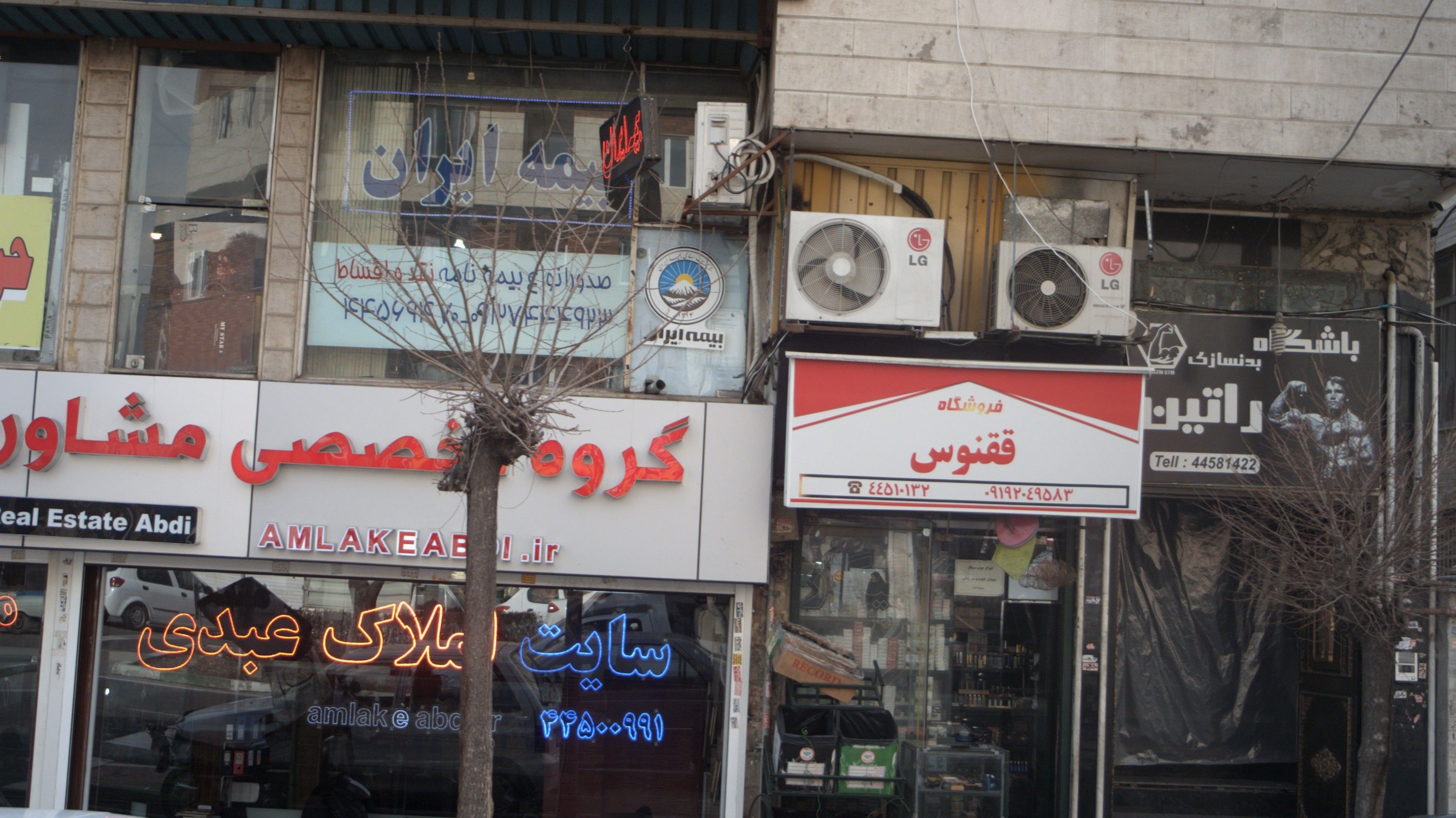 فروشگاه ققنوس