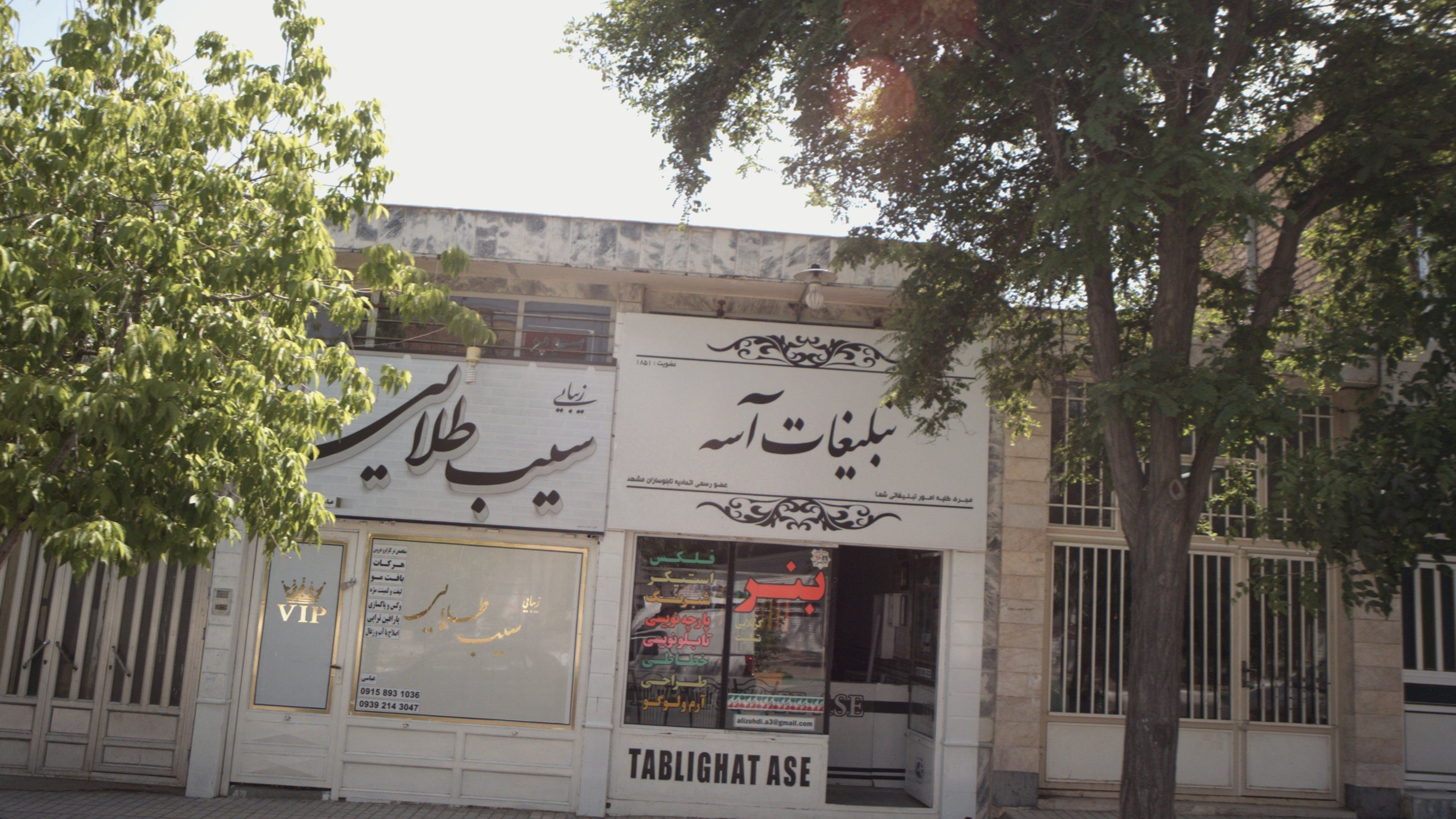 زیبایی سیب طلایی