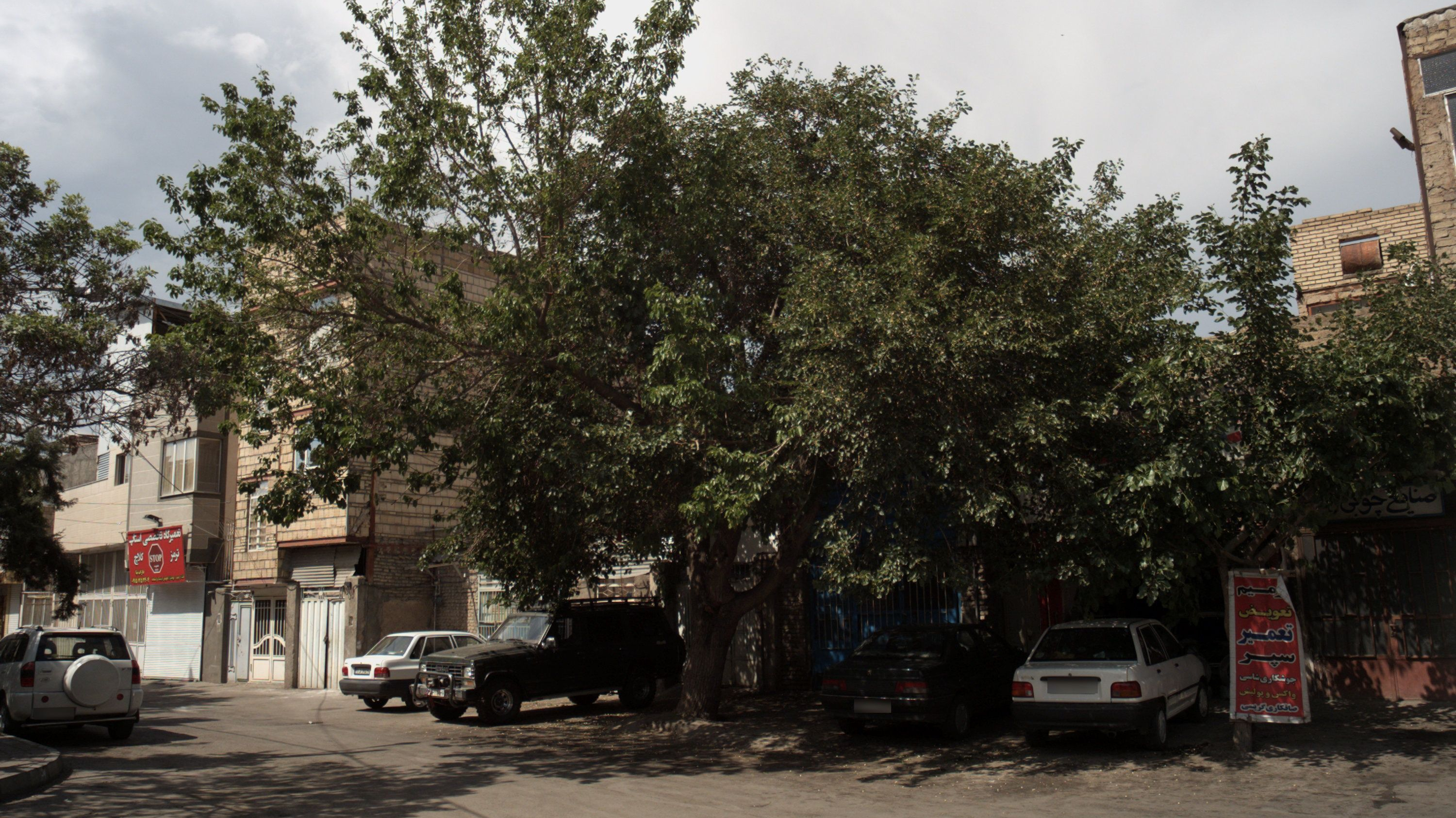 تعمیرگاه خودرو