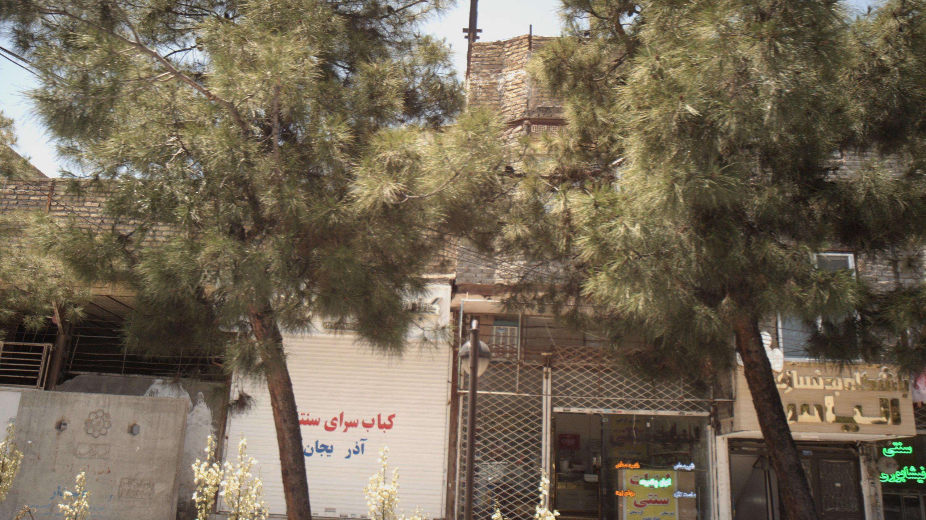 لبنیات سنتی