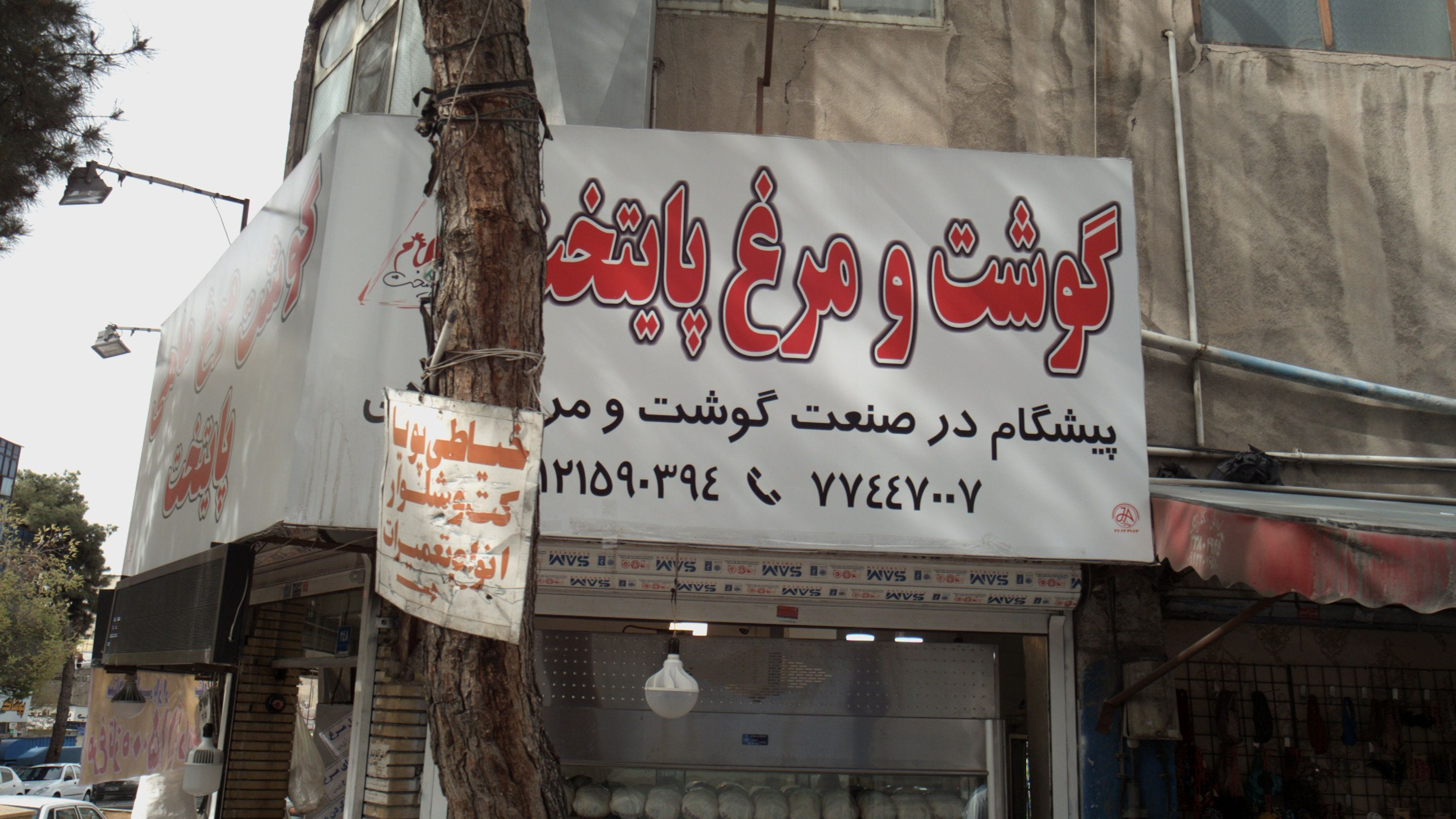 گوشت و مرغ پایتخت